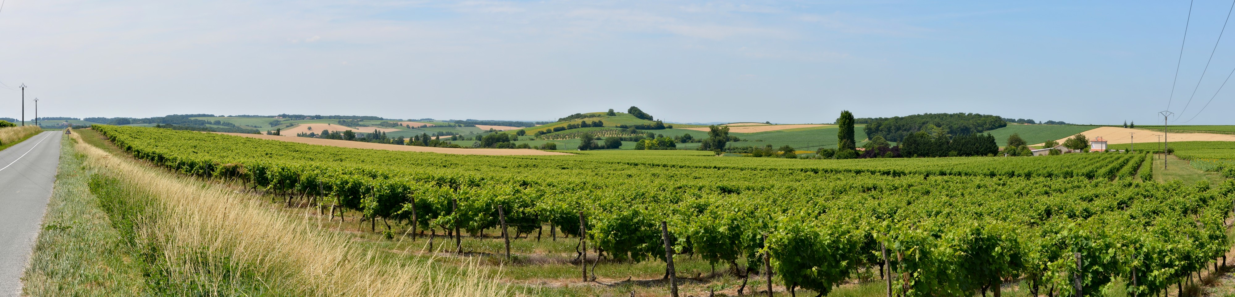 Champagne-Vigny 16 Vignes&collines D7 pano 2013