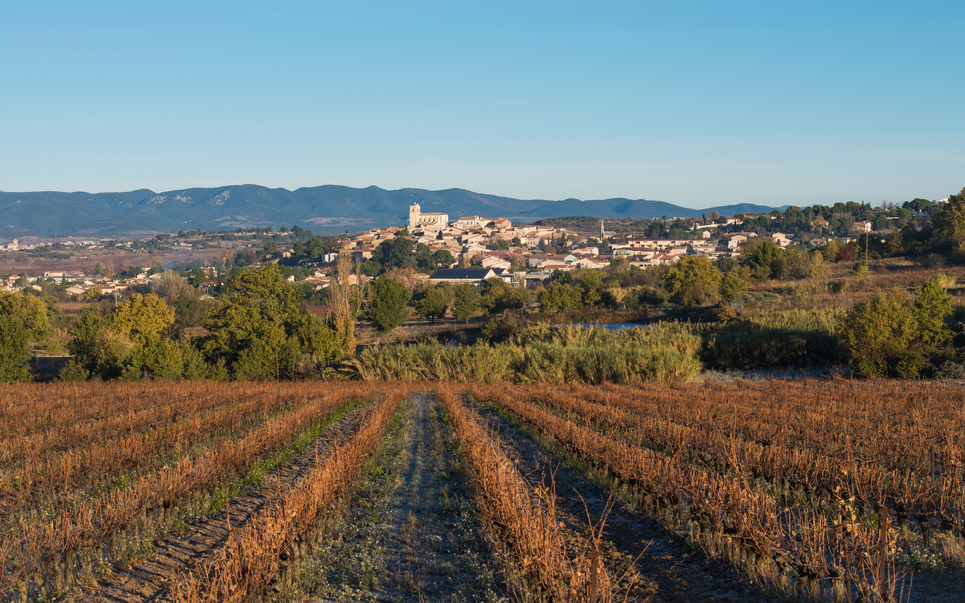 Corneilhan, Hérault 01