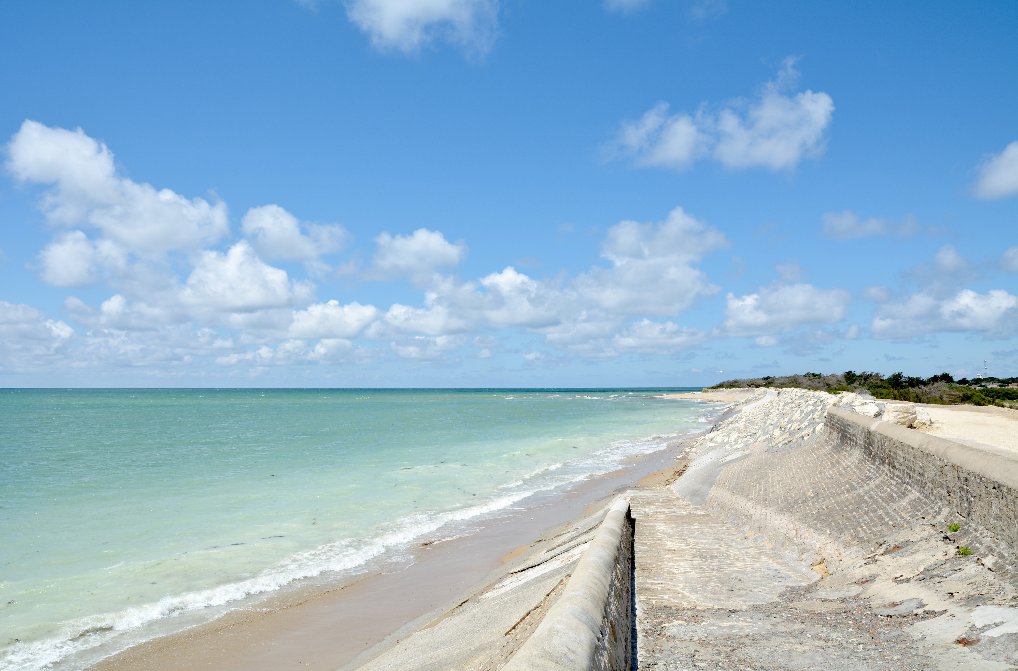 Cote-Sauvage-Ile-de-Ré-DSC 4575