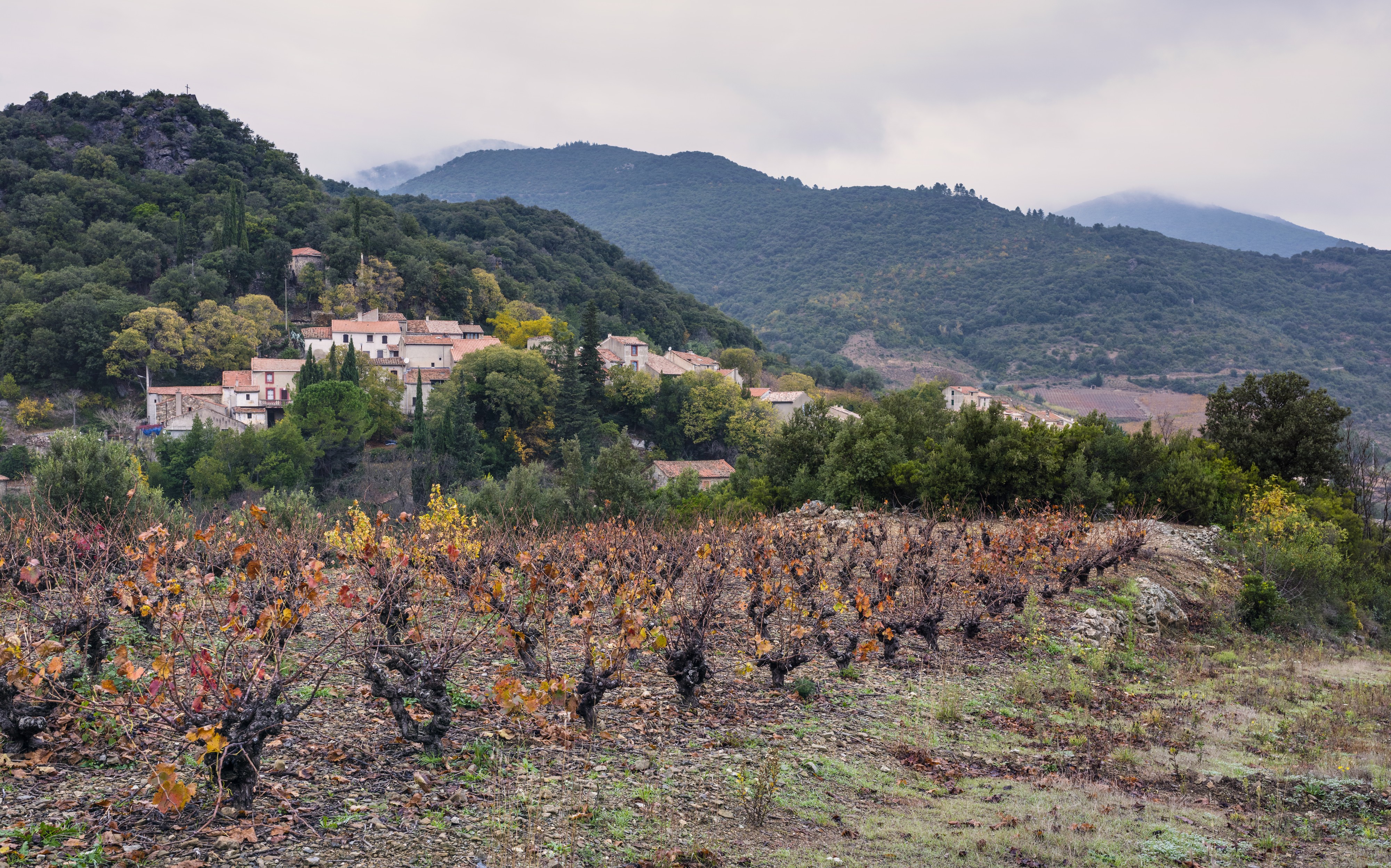 Escagnès (hameau), Roquebrun 01