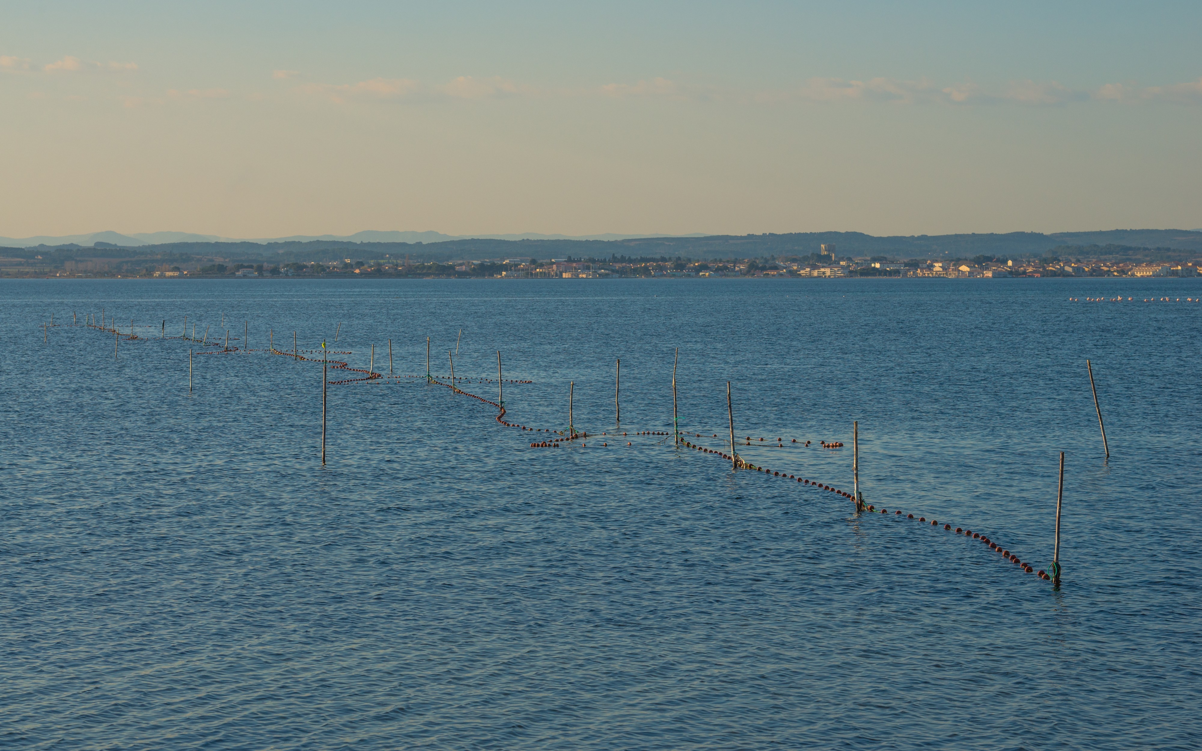 Fishing net, Étang de Thau, Hérault 01