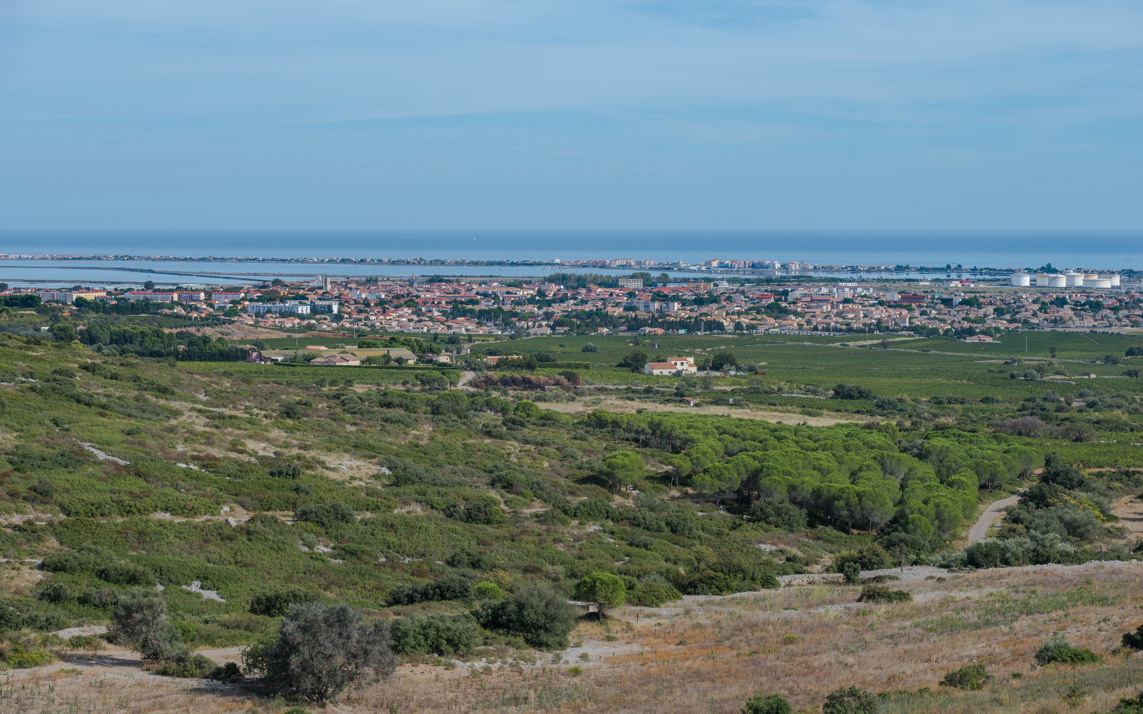 Frontignan, Hérault 06