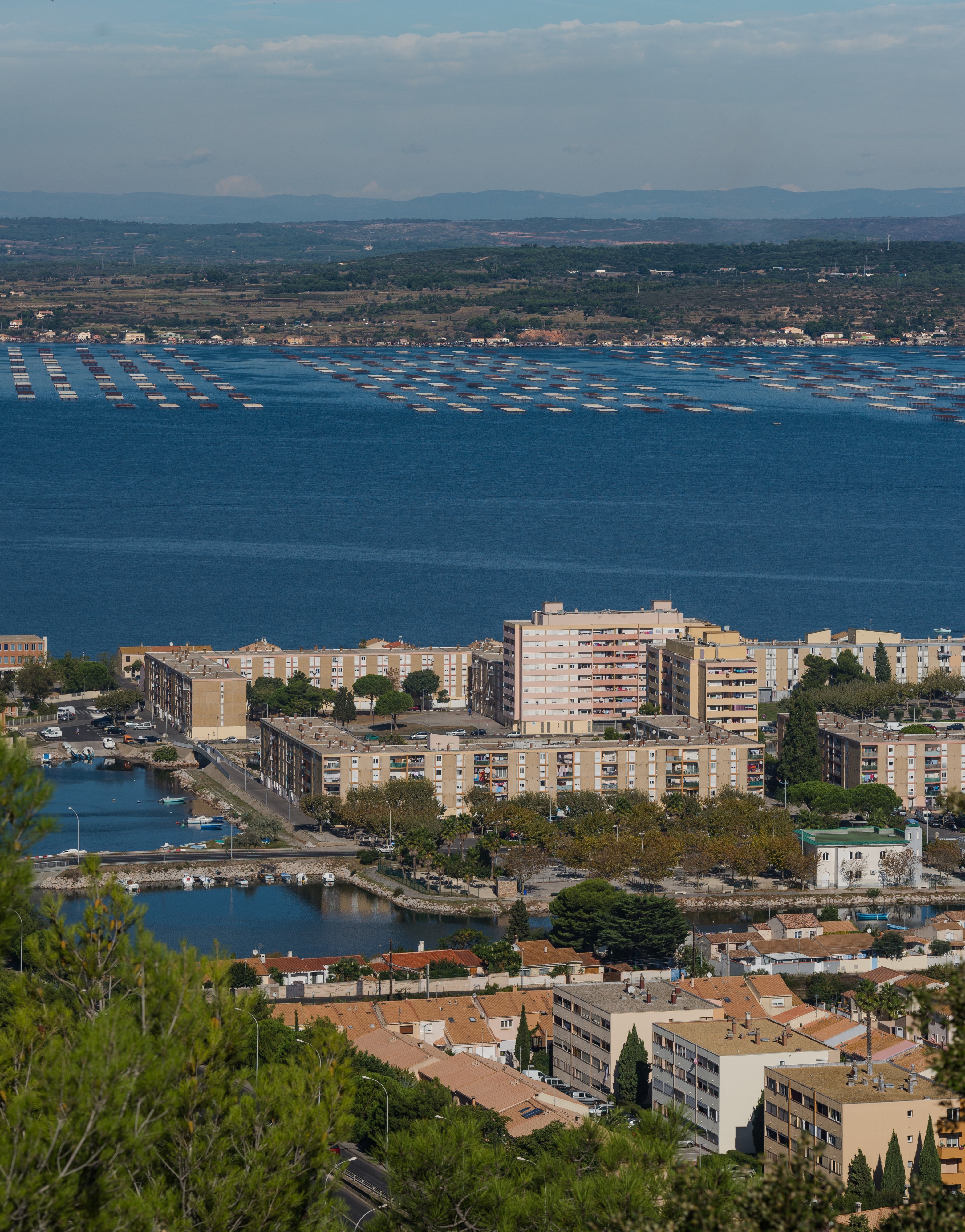 Ile de Thau, Sète, Hérault 03