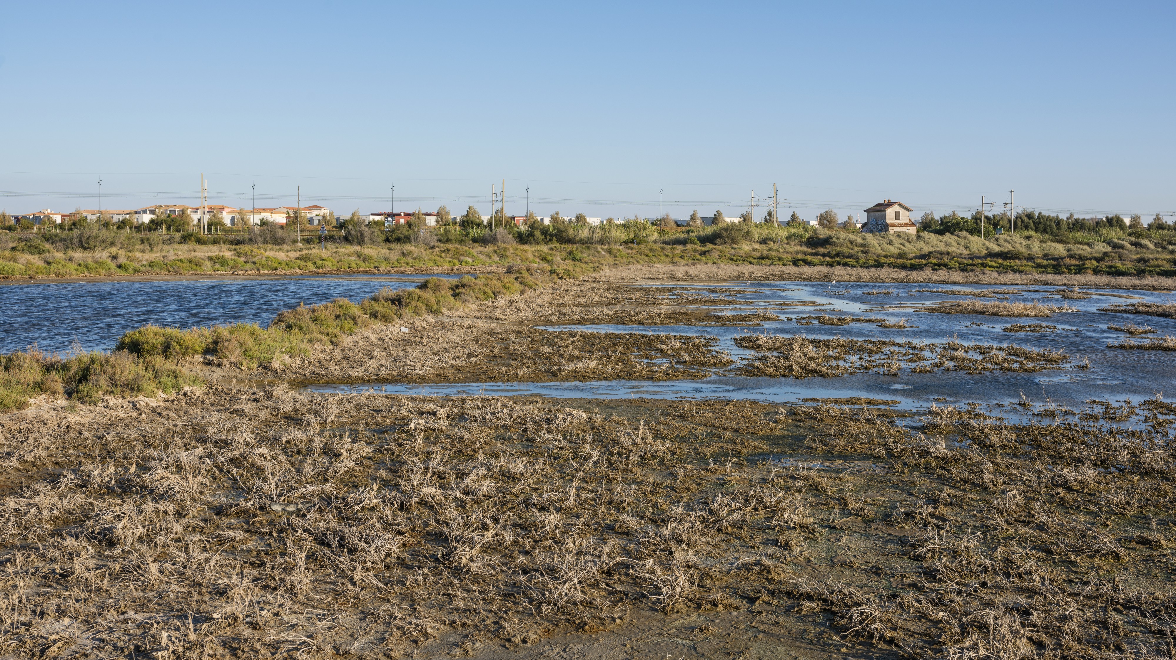 Lido de Thau, Sète cf01