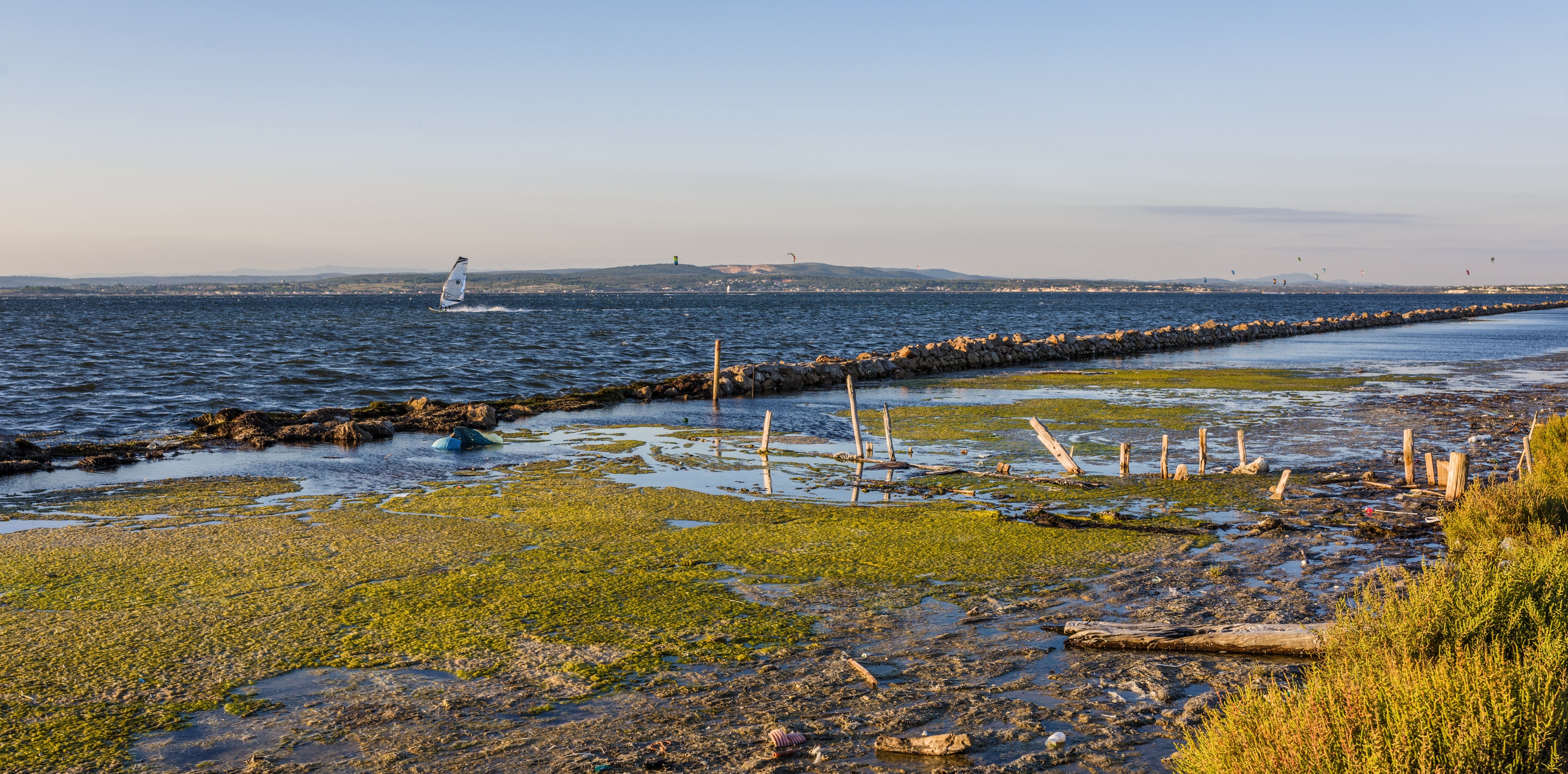 Lido de Thau, Sète cf05