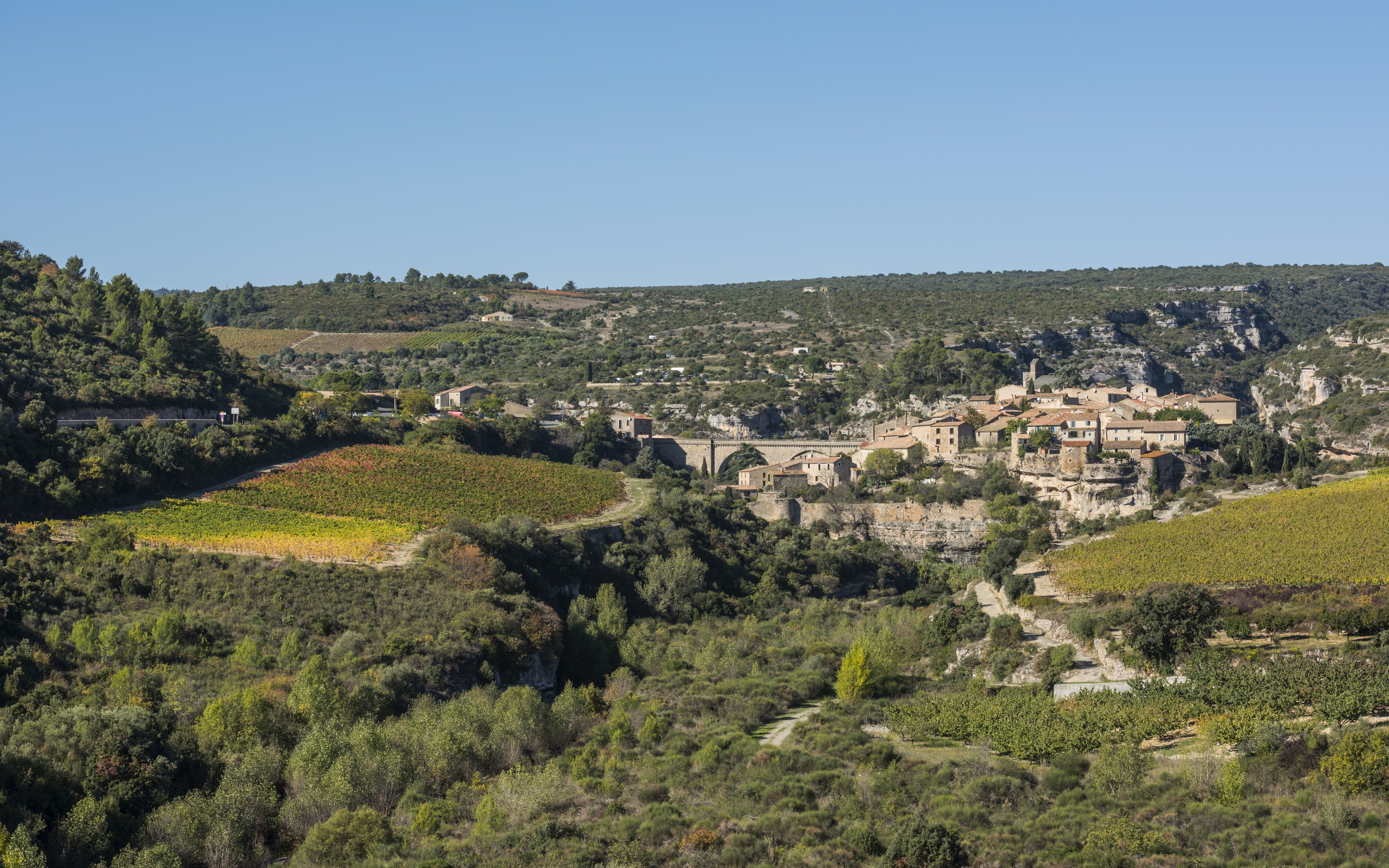 Minerve cf01
