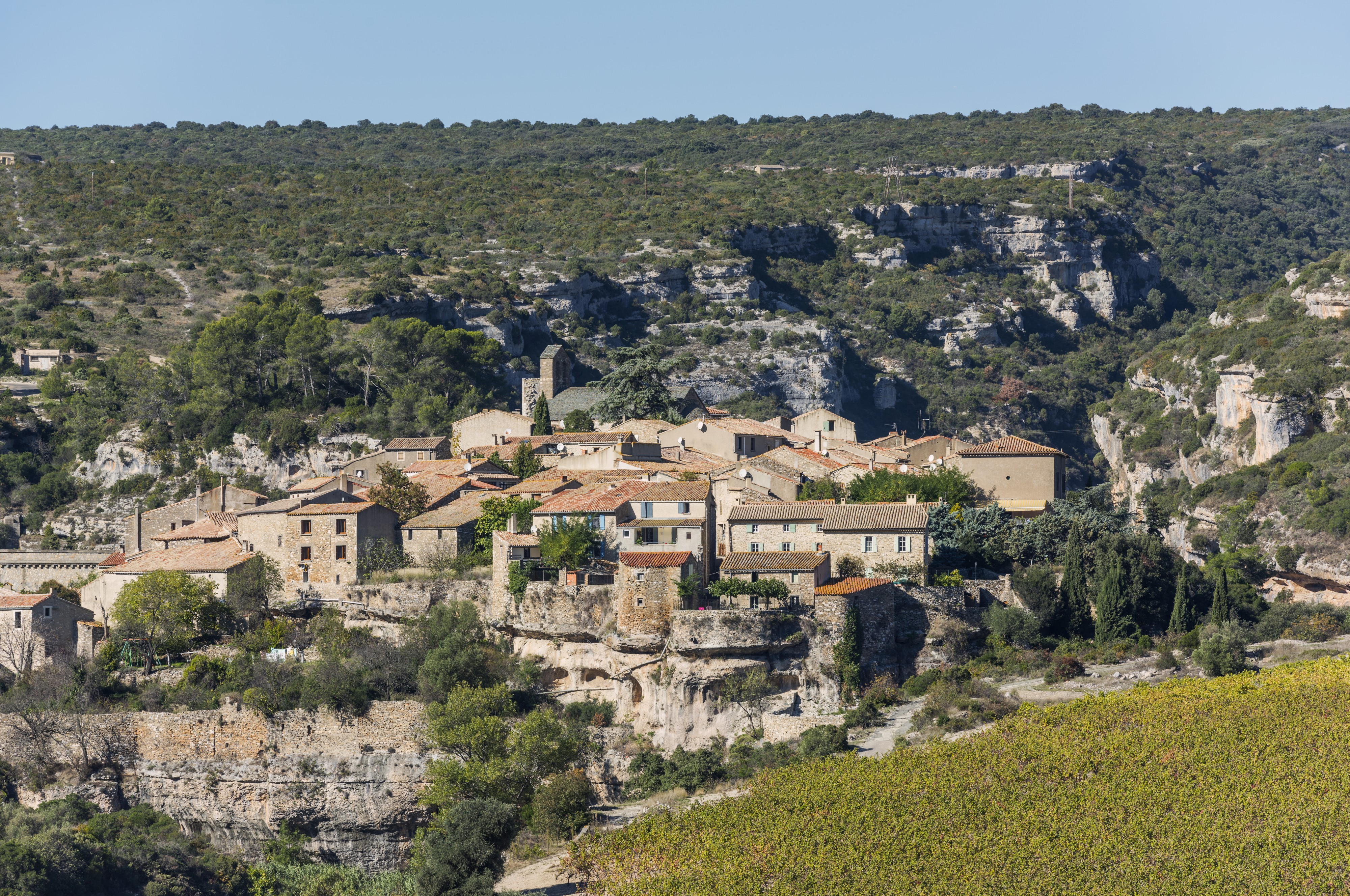 Minerve cf02