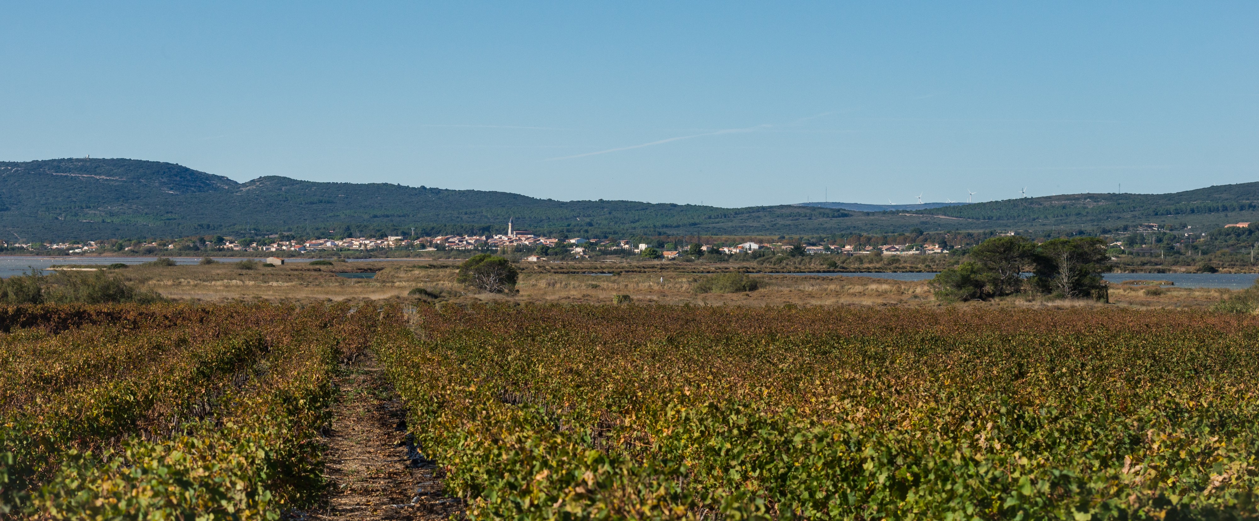Mireval, Hérault 03