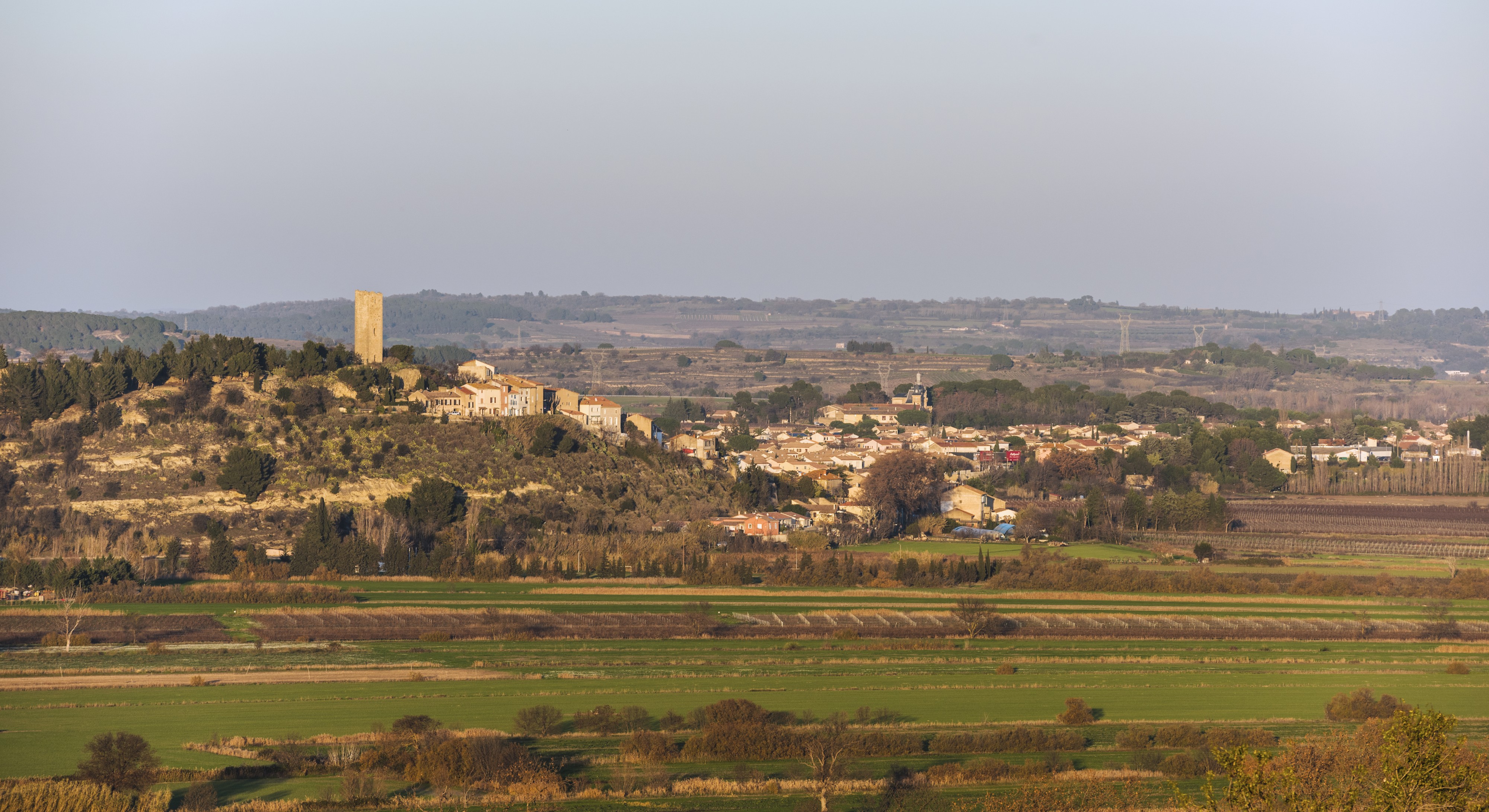 Montady cf01
