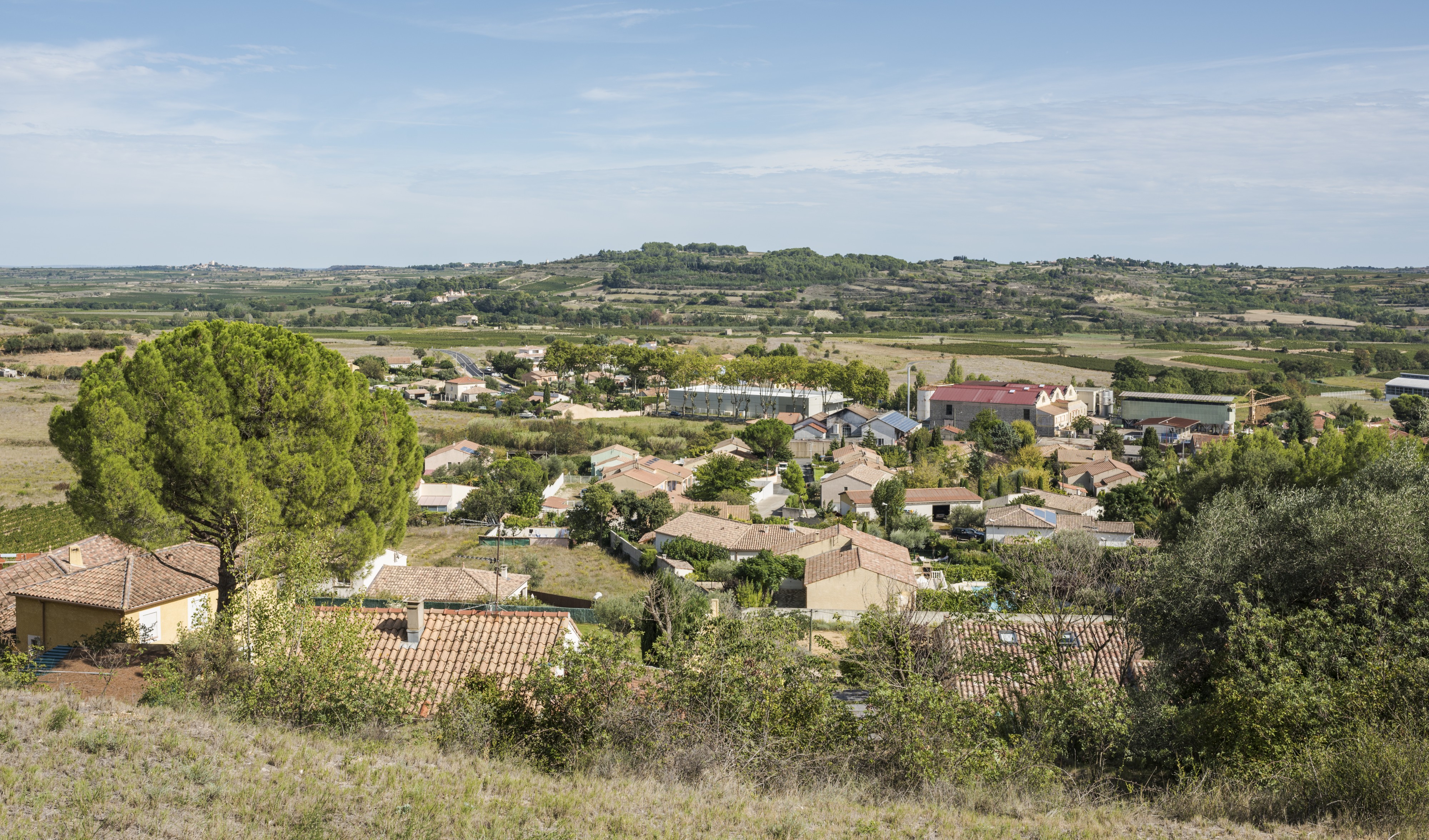 Northern Murviel-lès-Béziers