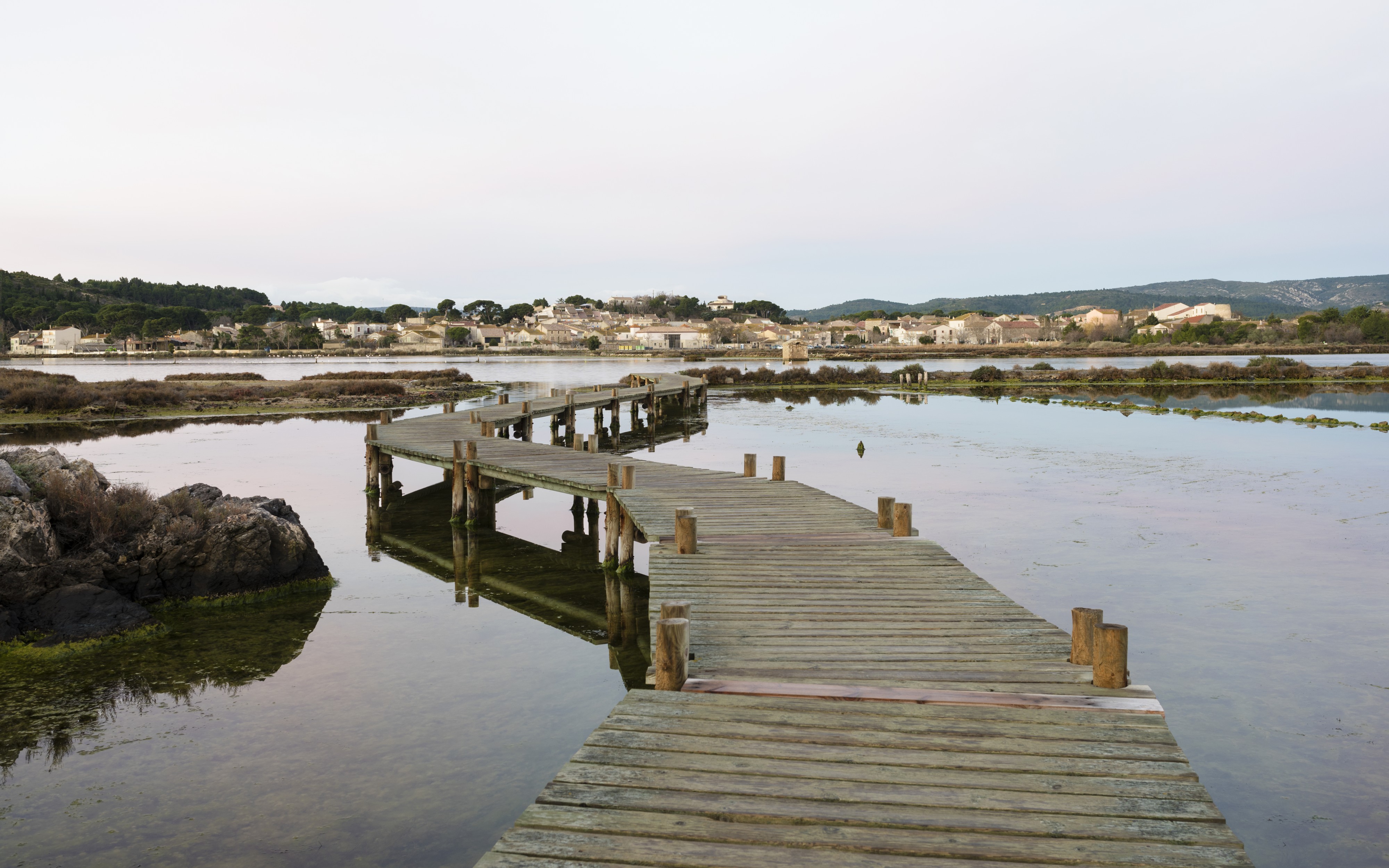 Peyriac-de-Mer, february 2018 (05)