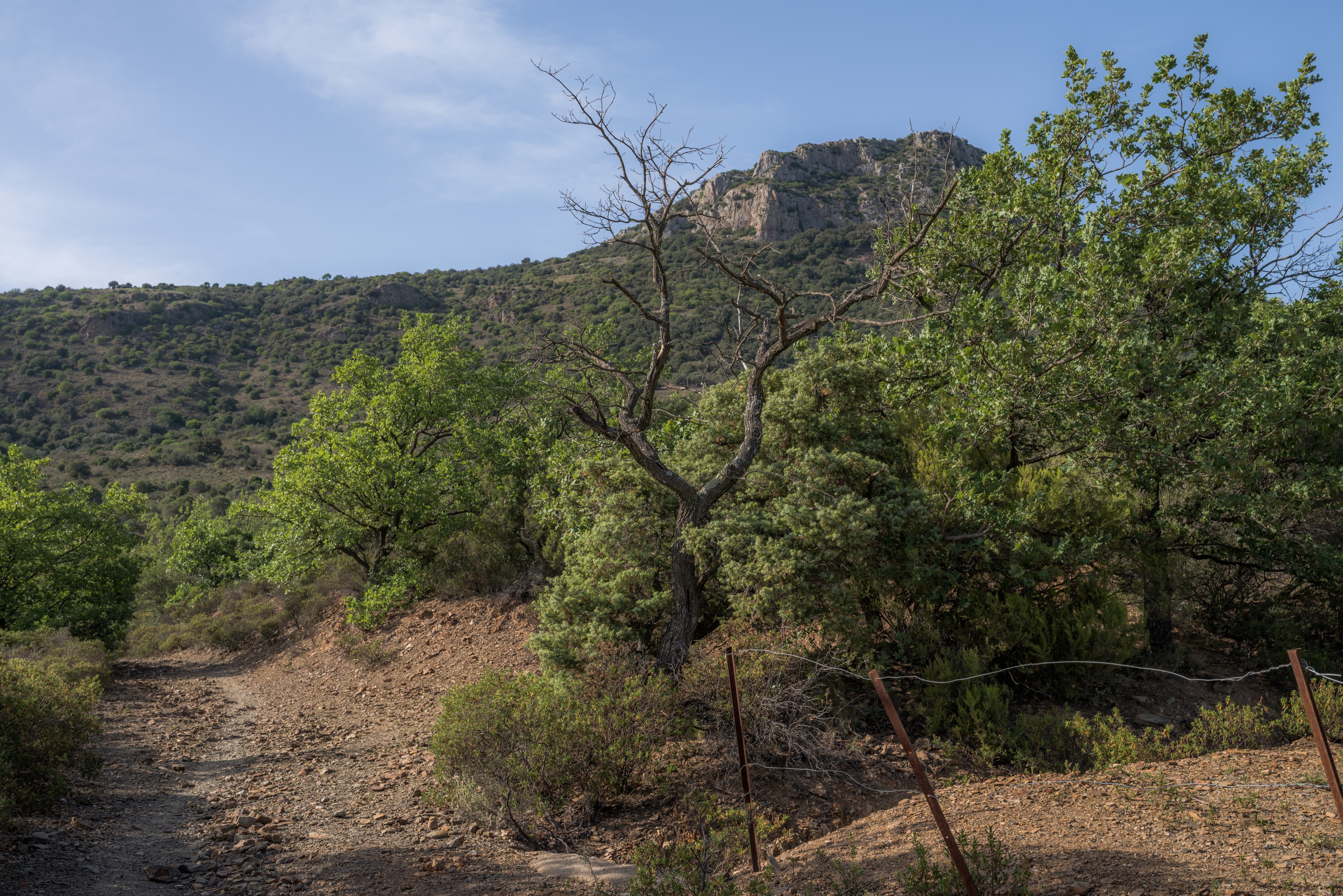 Pic de Vissou, Cabrières, Hérault 04