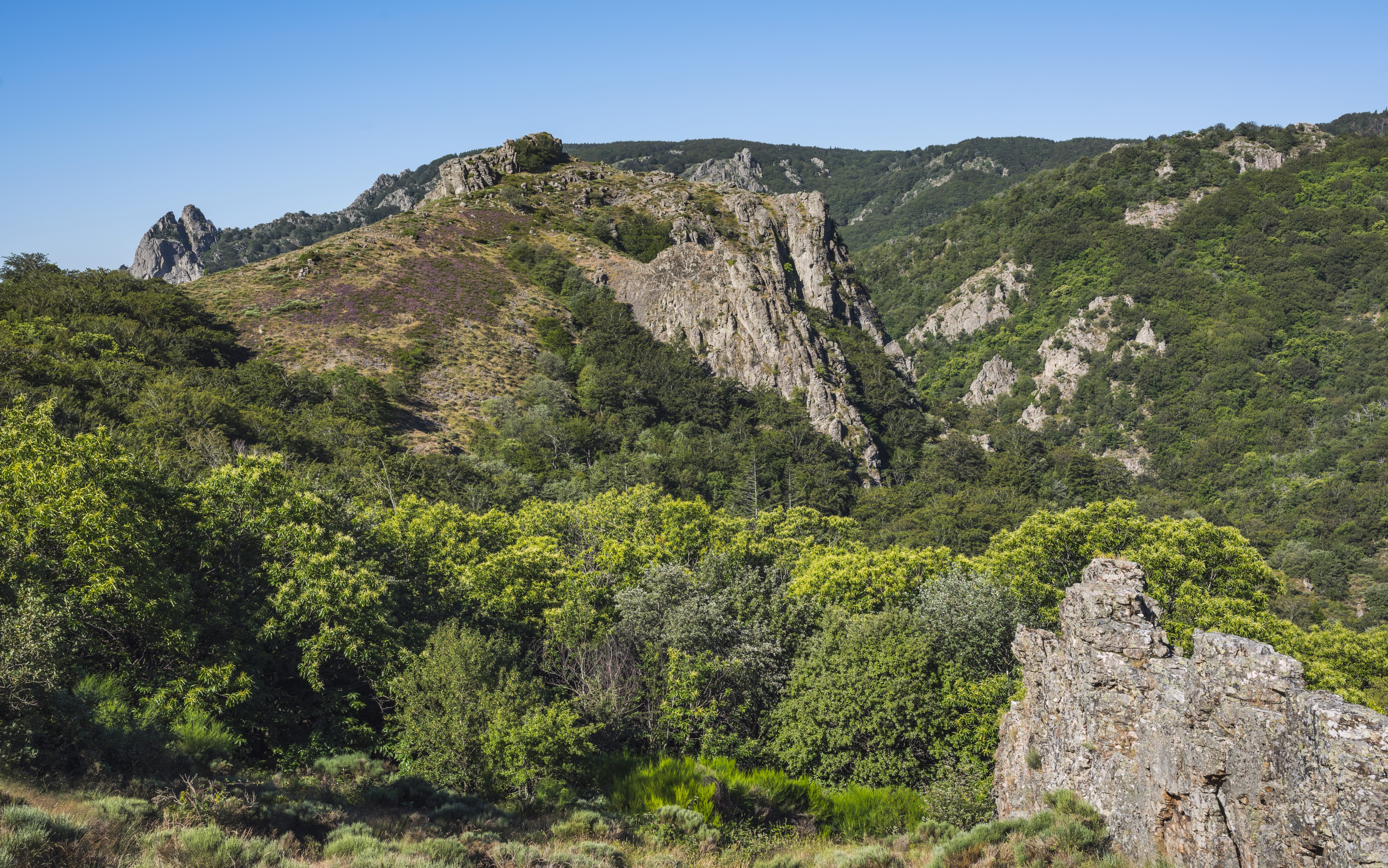 Roc du Mayne, Haut-Languedoc, Rosis cf01