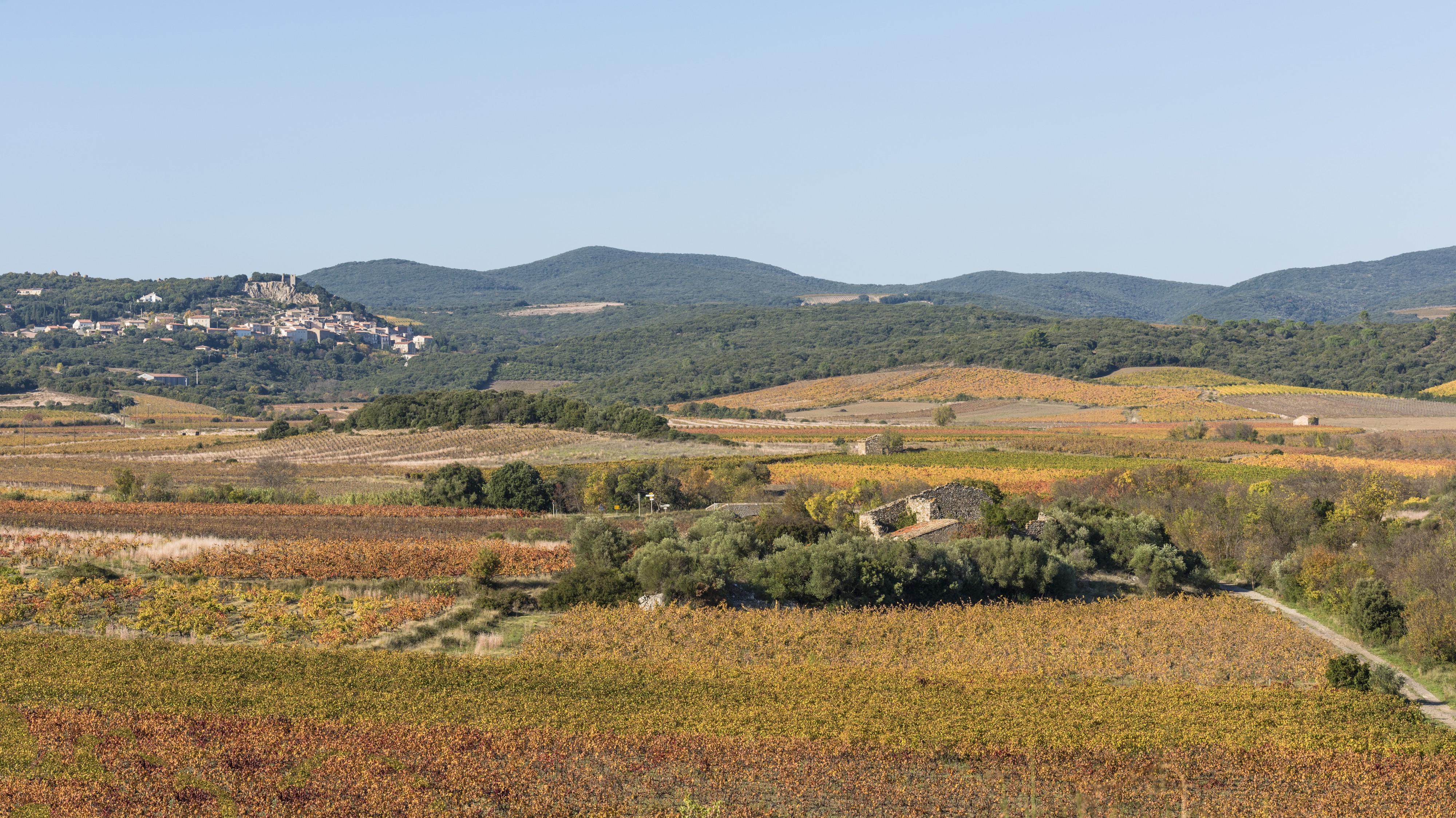 Roquessels and vineyards 01