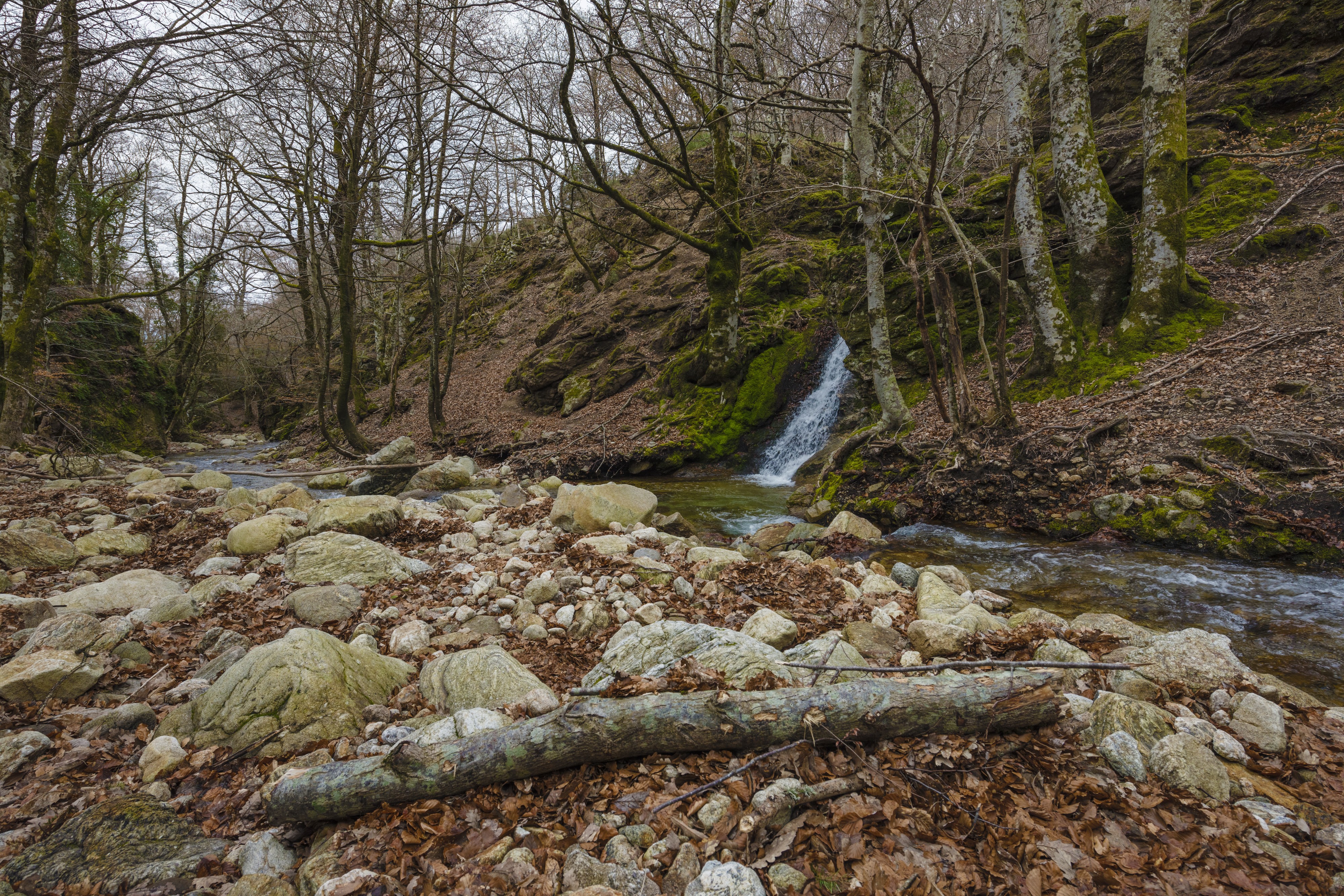 Ruisseau du Vialais, Haut-Languedoc, Rosis cf01