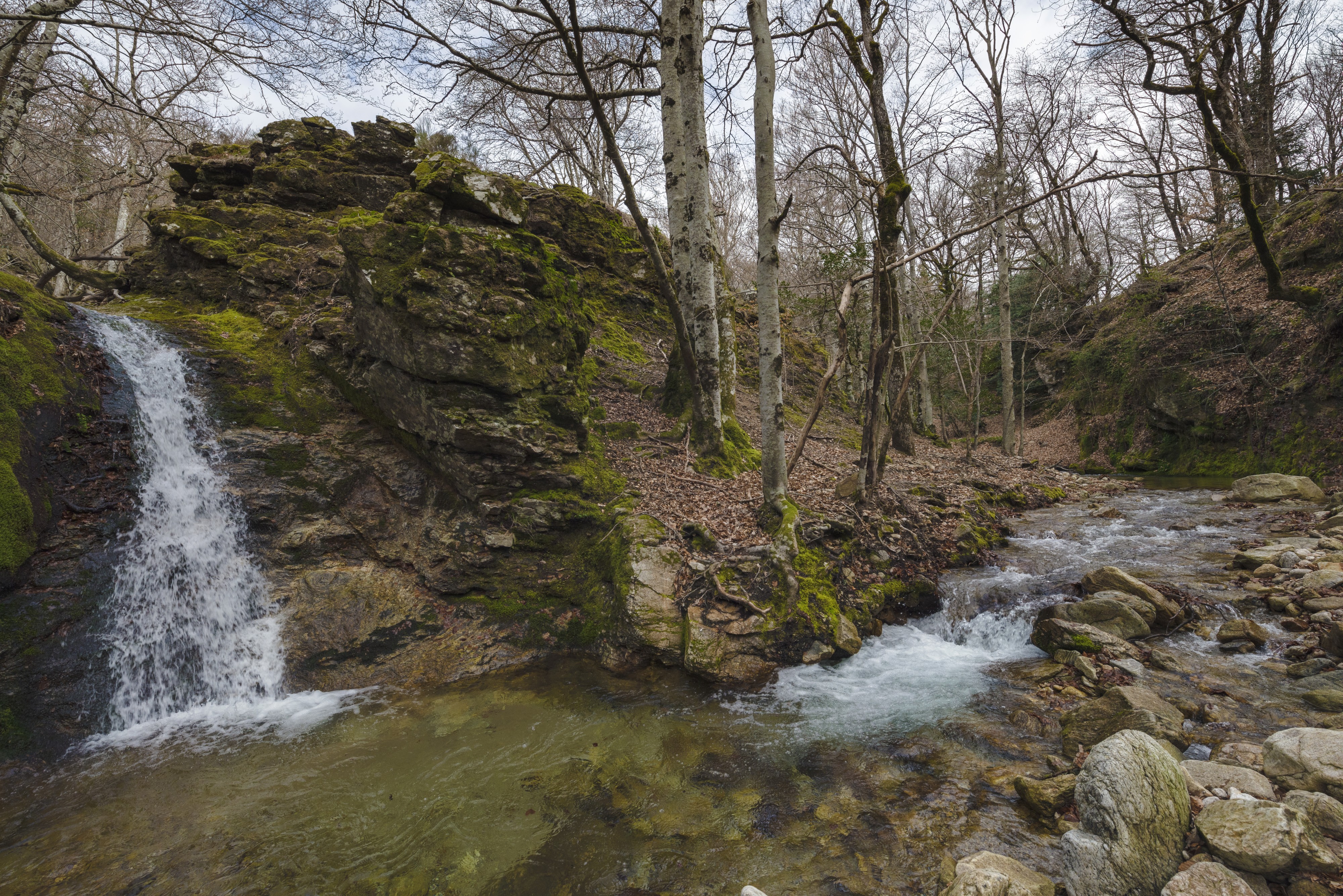 Ruisseau du Vialais, Haut-Languedoc, Rosis cf02