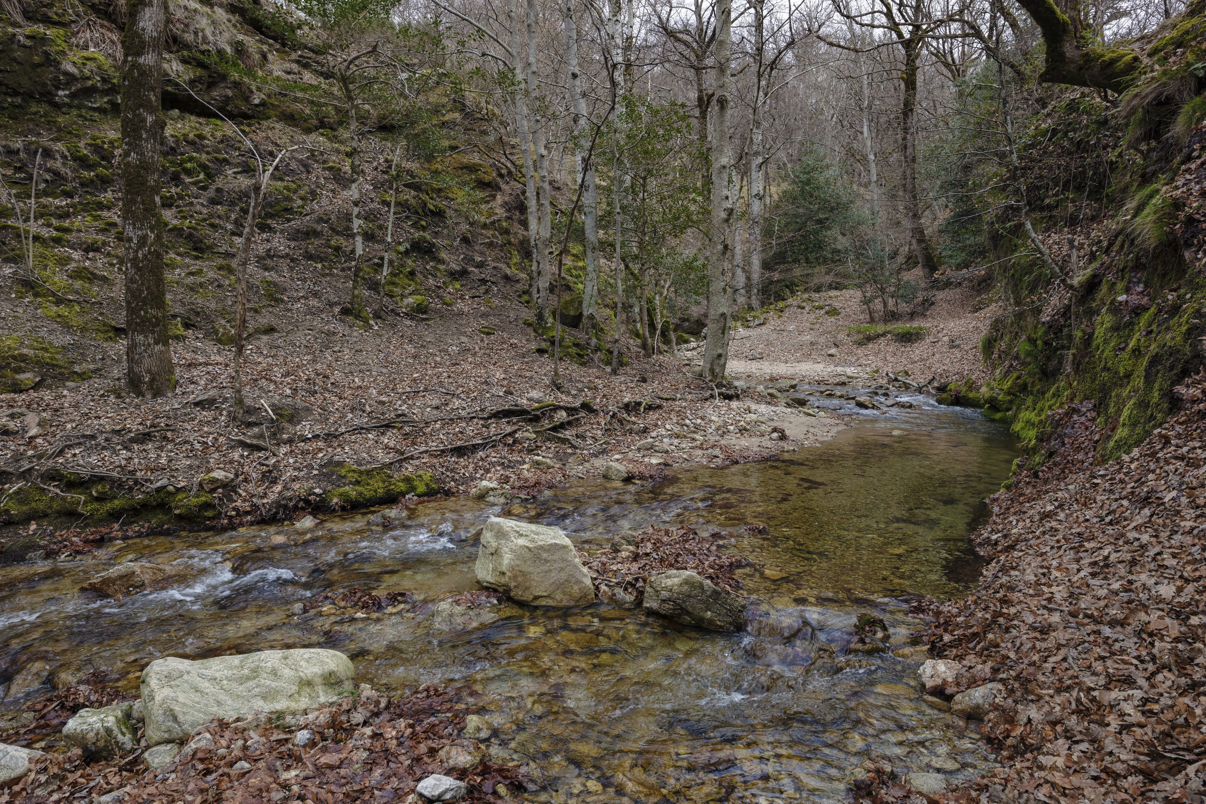 Ruisseau du Vialais, Haut-Languedoc, Rosis cf05