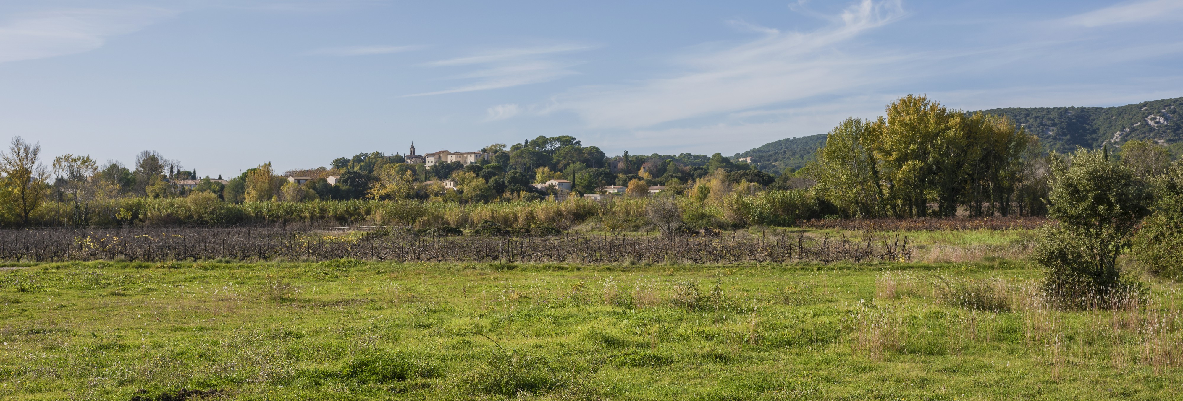 Saint-Mathieu-de-Tréviers 01