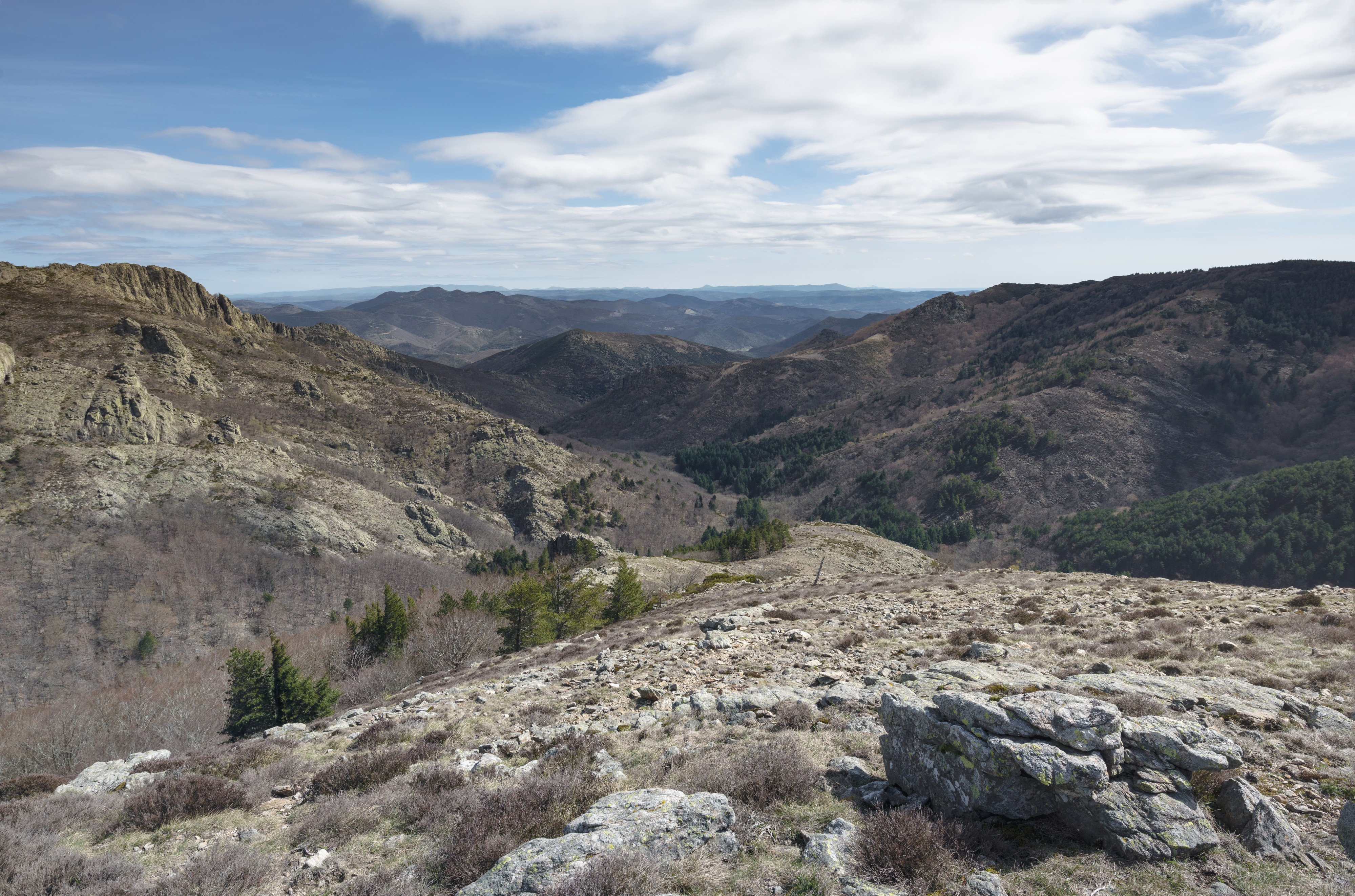 Serre de Coste Grande, Haut-Languedoc cf01
