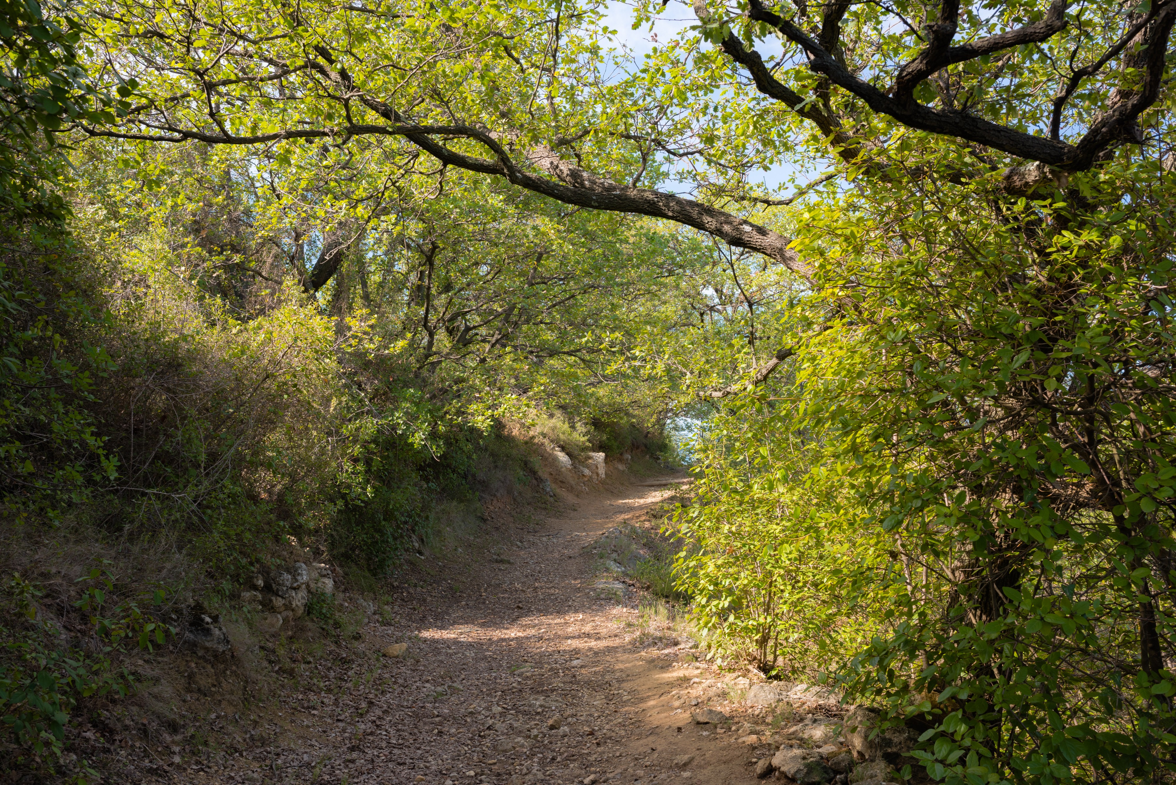 Trail in Murviel-lès-Béziers 01
