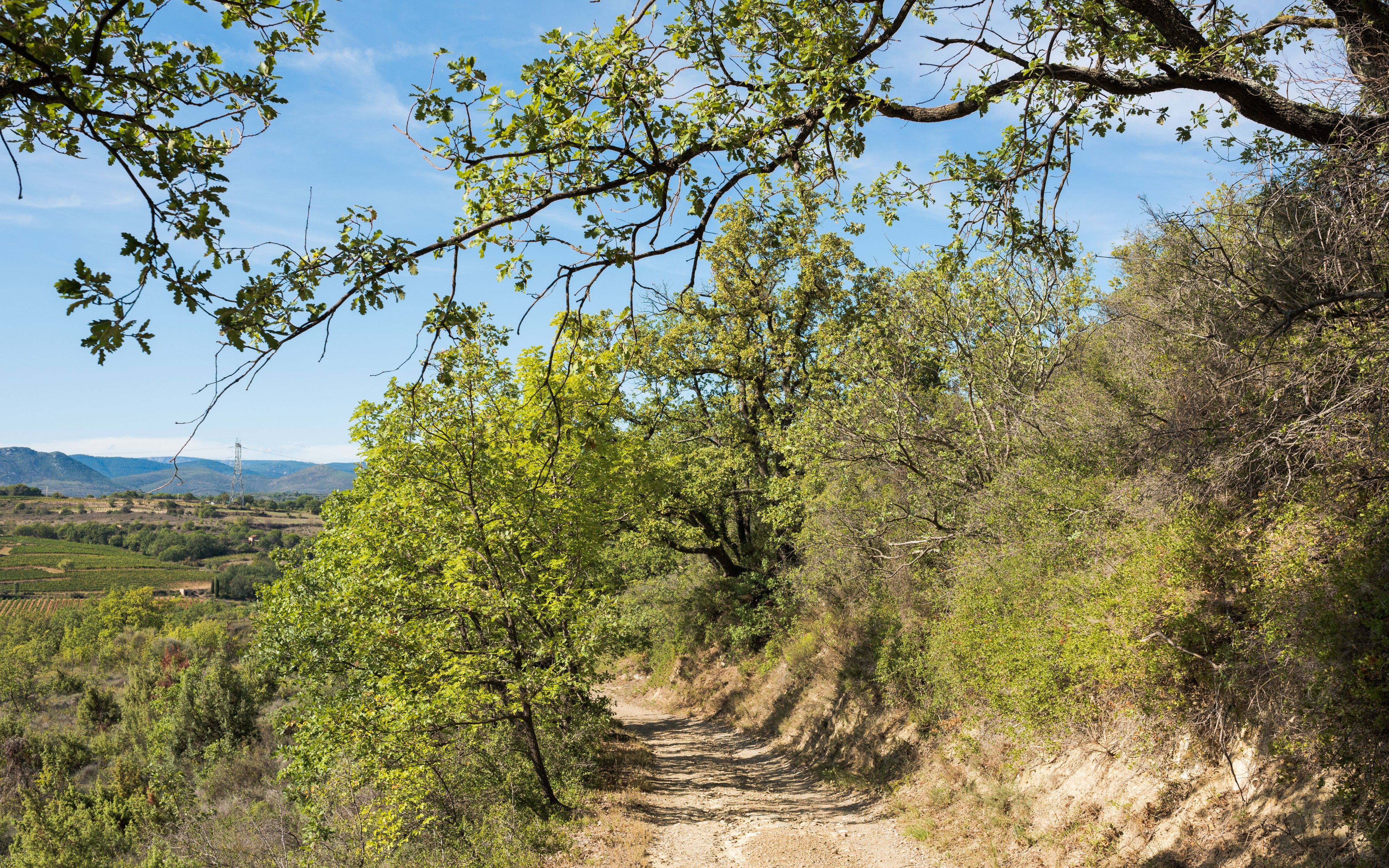 Trail in Murviel-lès-Béziers 03