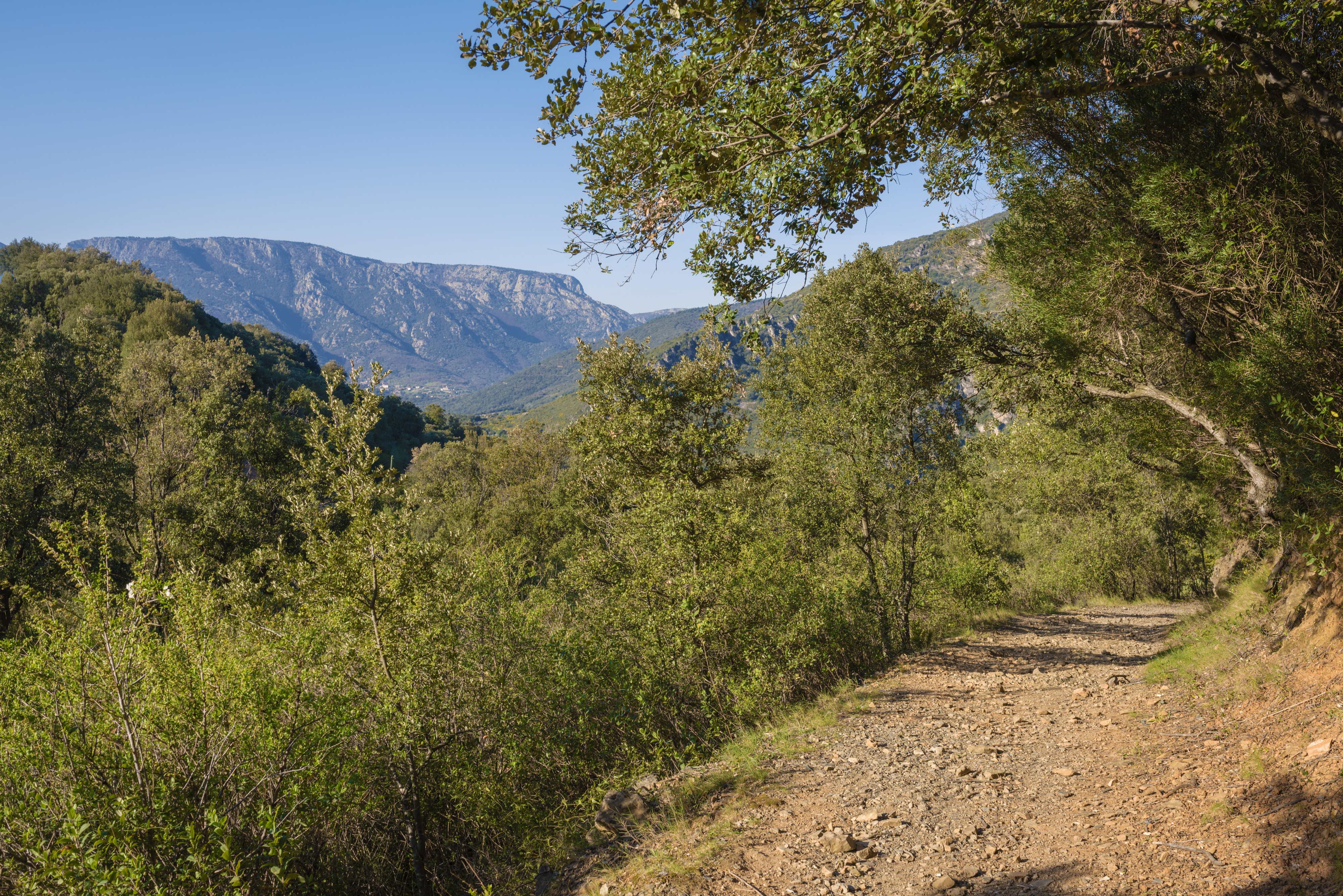 Trail in Vieussan 02
