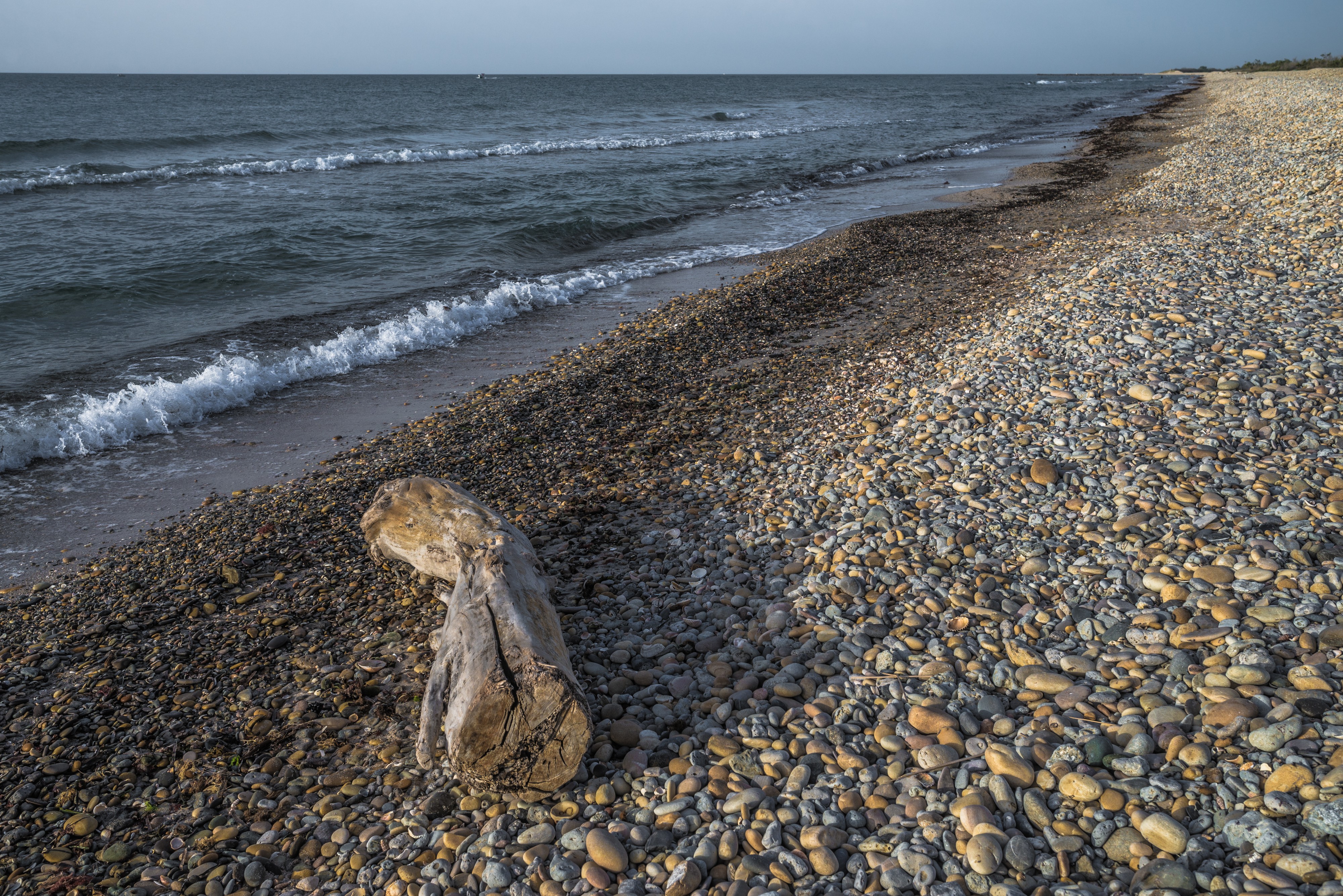 Trunk aground, Vic-la-Gardiole 02