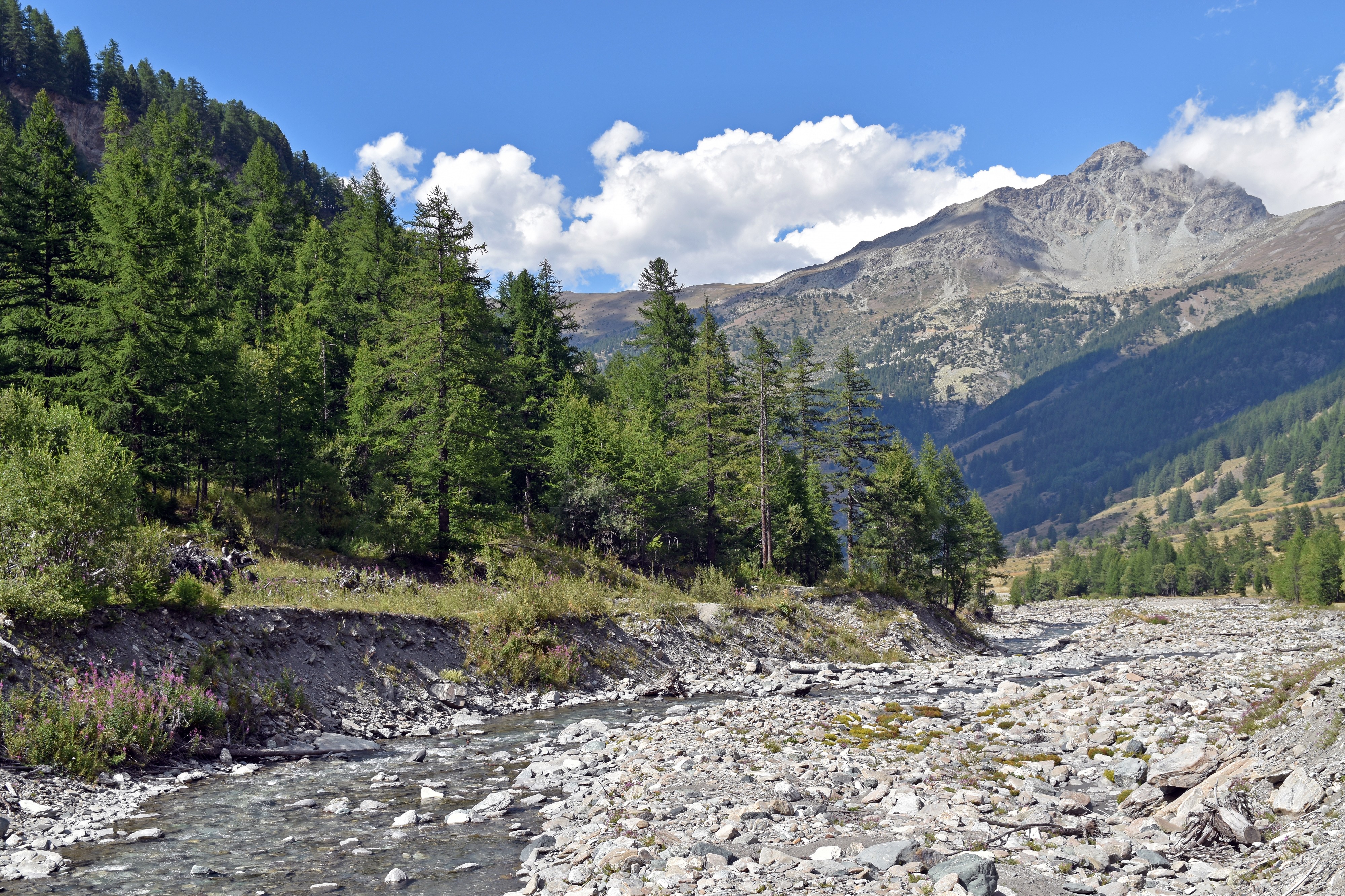 Vallée-du-Guil-Queyras-DSC 0708