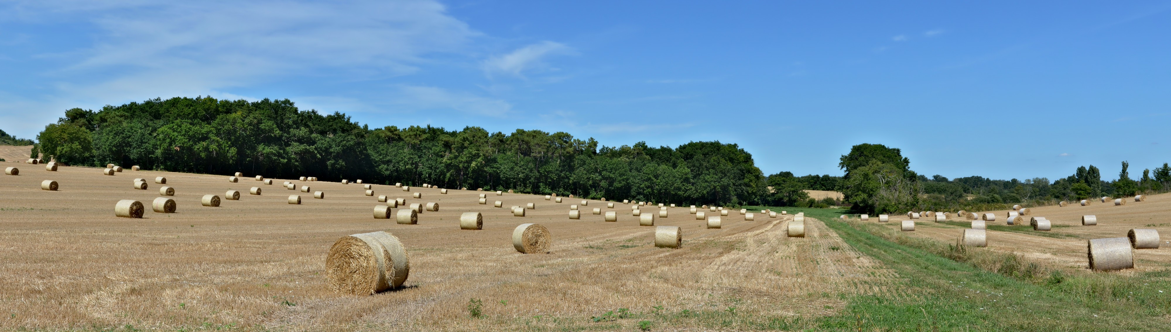 Vaux-Lavalette 16 Balles rondes 2013