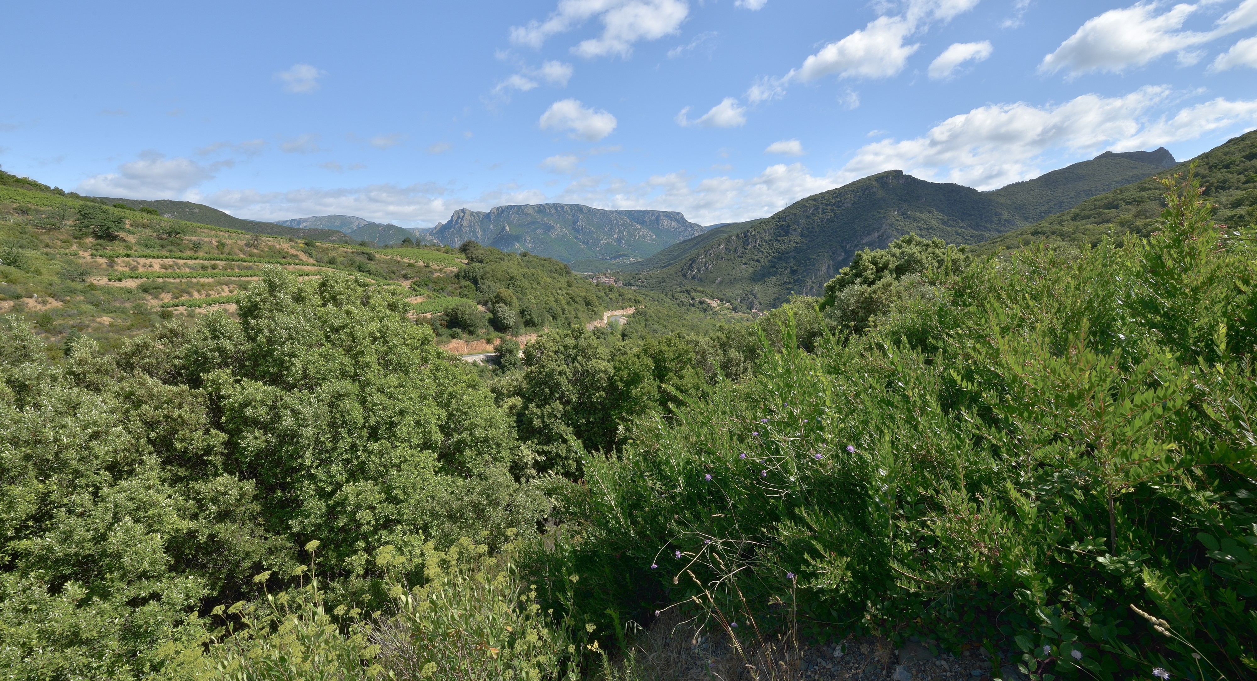 Vieussan, Hérault 06