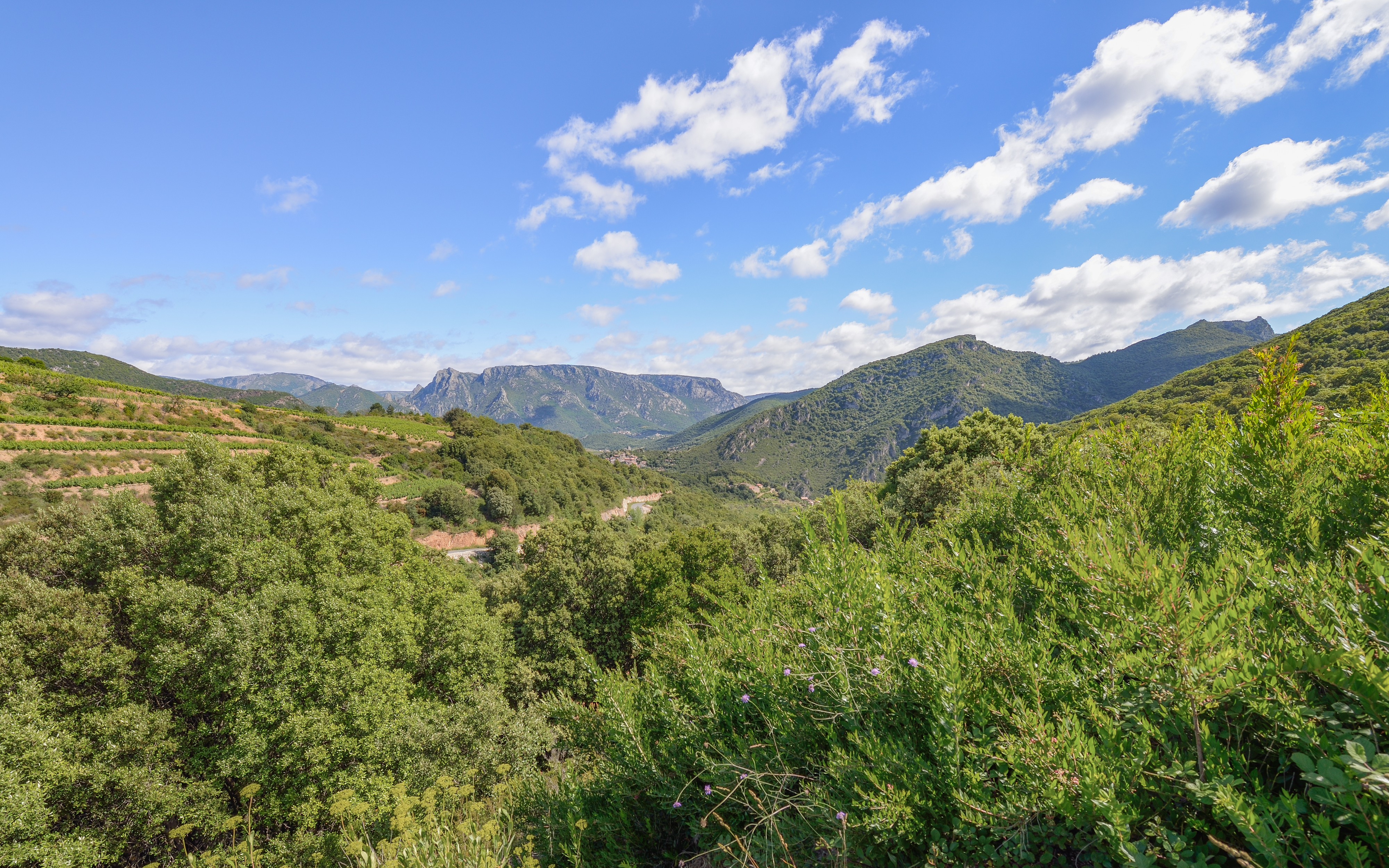 Vieussan, Hérault 09
