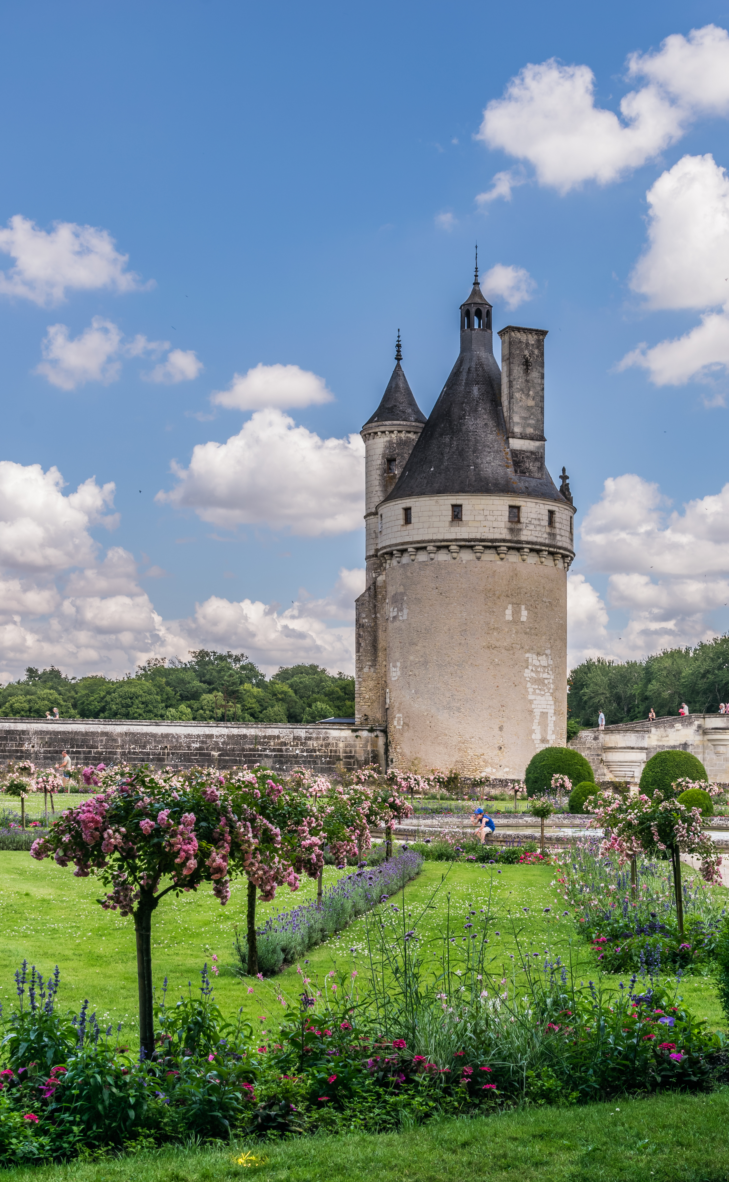 Tour des Marques Castle of Chenonceau 08
