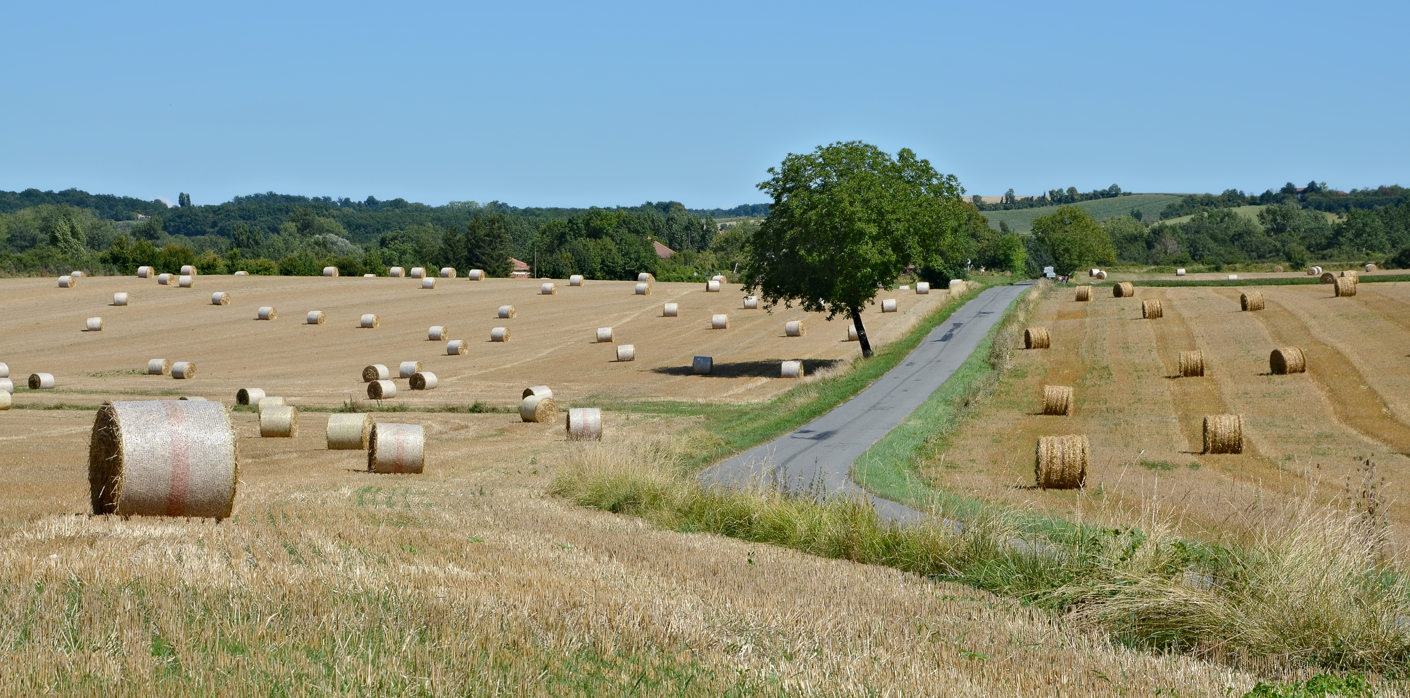 Vaux-Lavalette 16 Balles rondes&noyer D143 2013