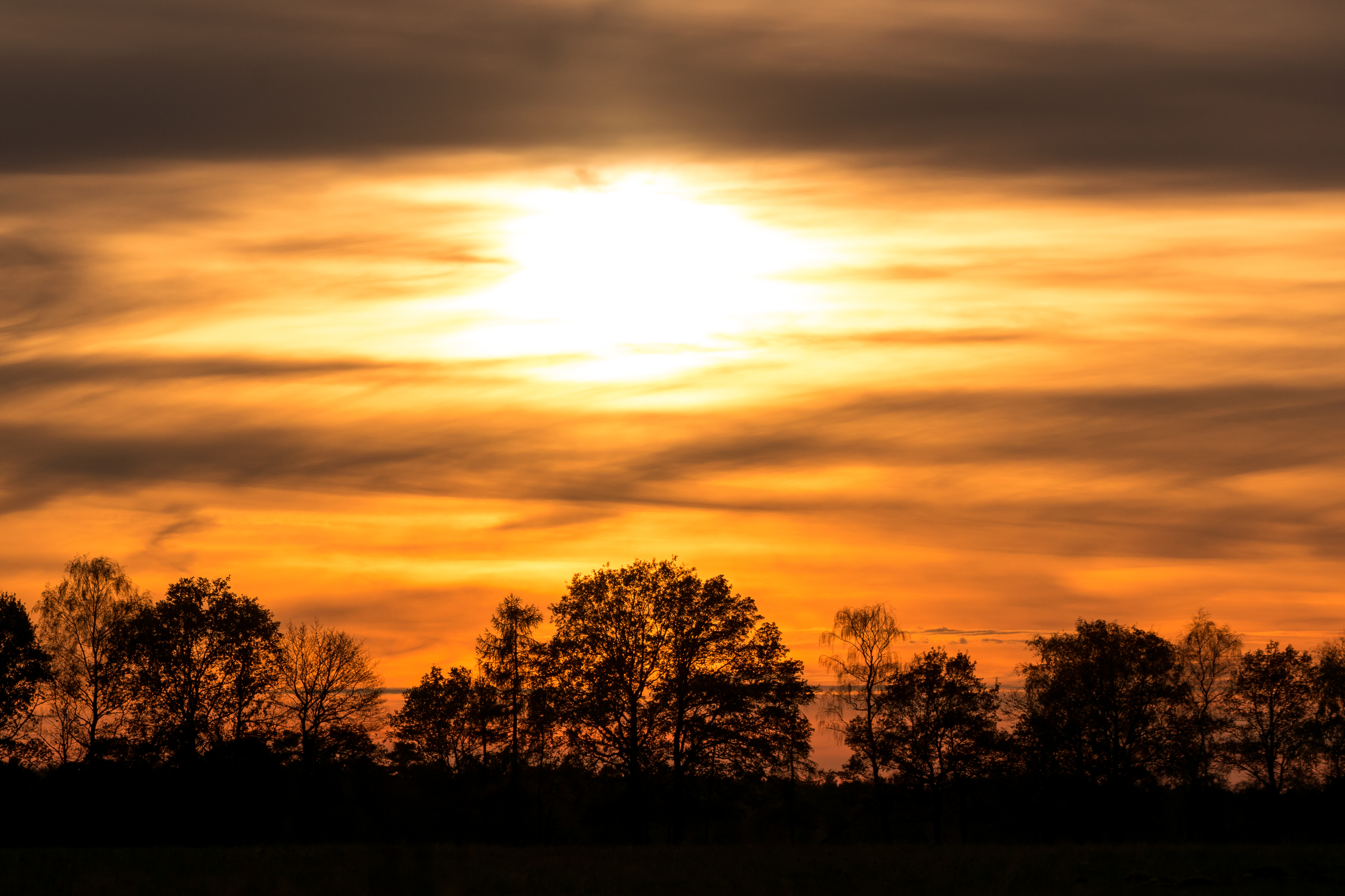 Augustdorf - 2015-11-08 - Sonnenuntergang Senne (10)