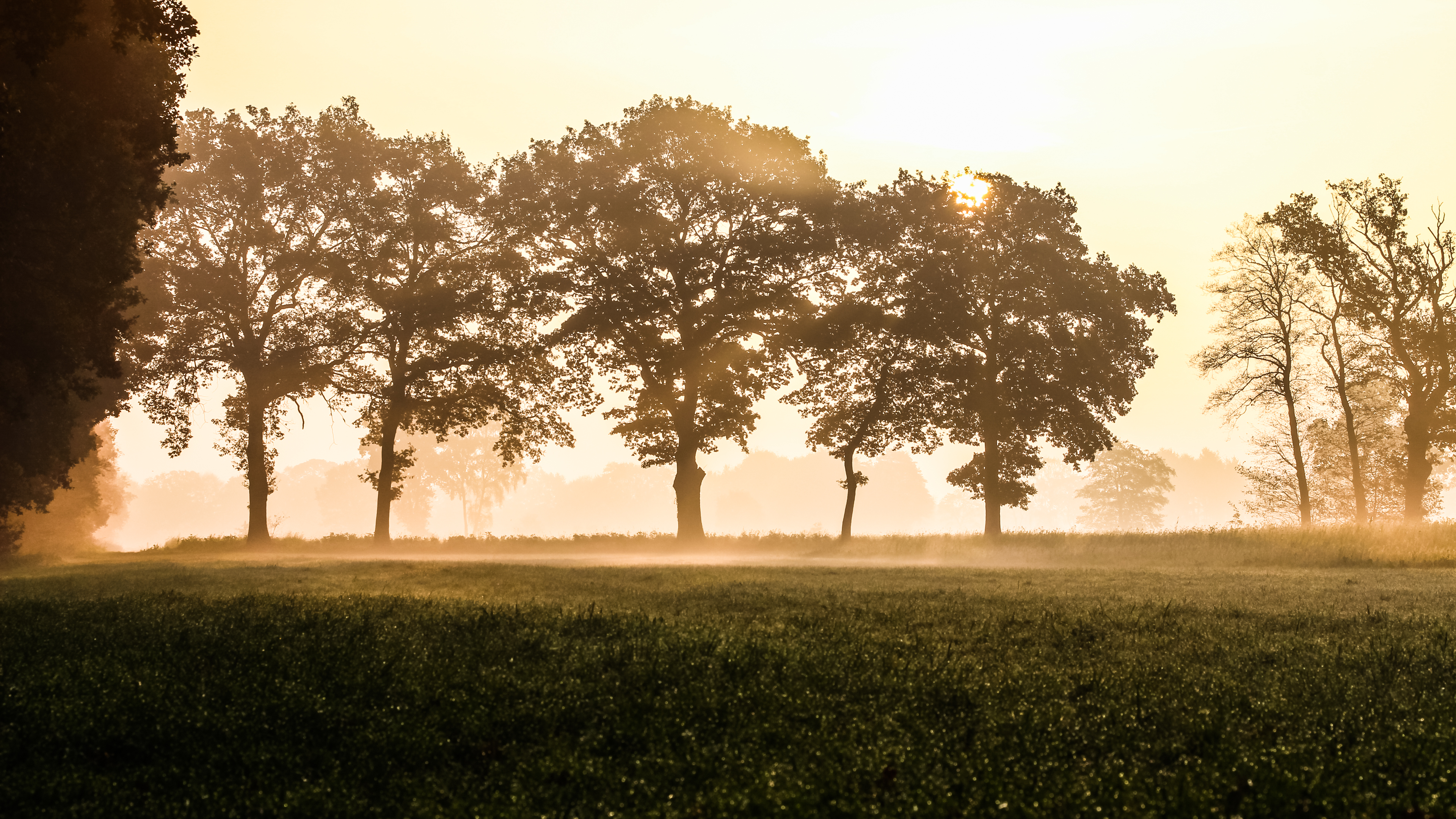 Dülmen, Börnste, Feld -- 2015 -- 4640