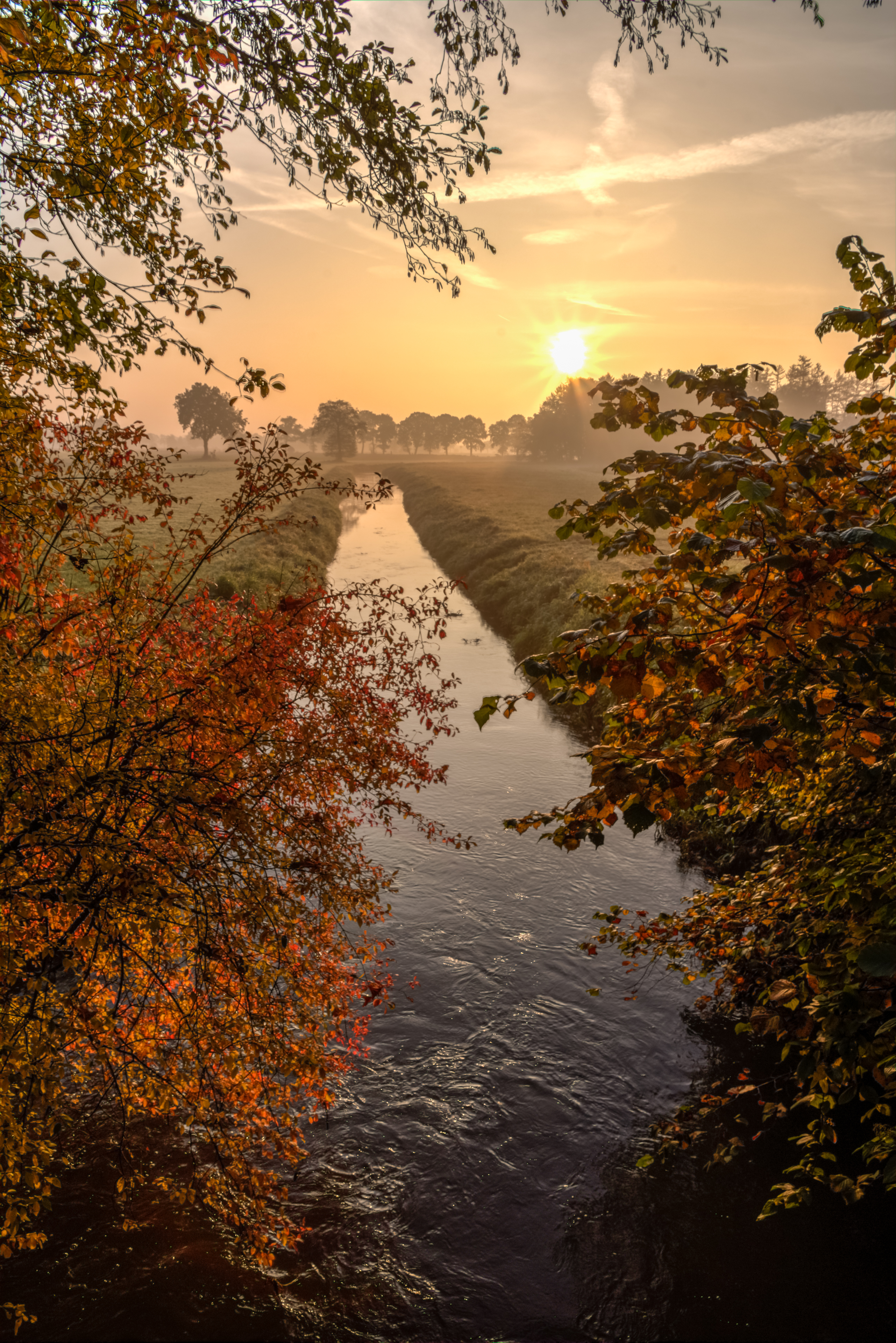 Dülmen, Börnste, Kettbach -- 2015 -- 9892-6