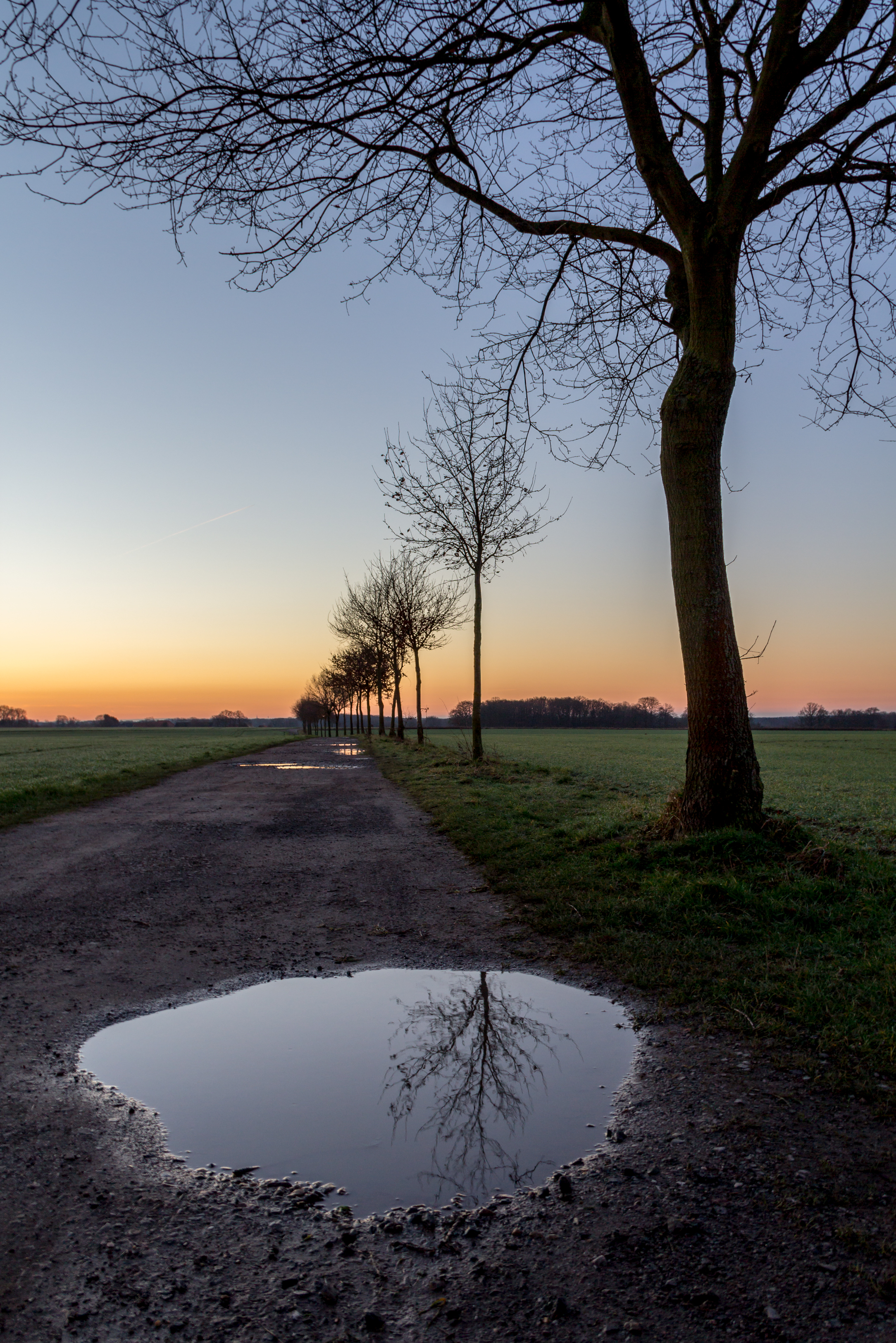 Dülmen, Feldweg -- 2014 -- 1