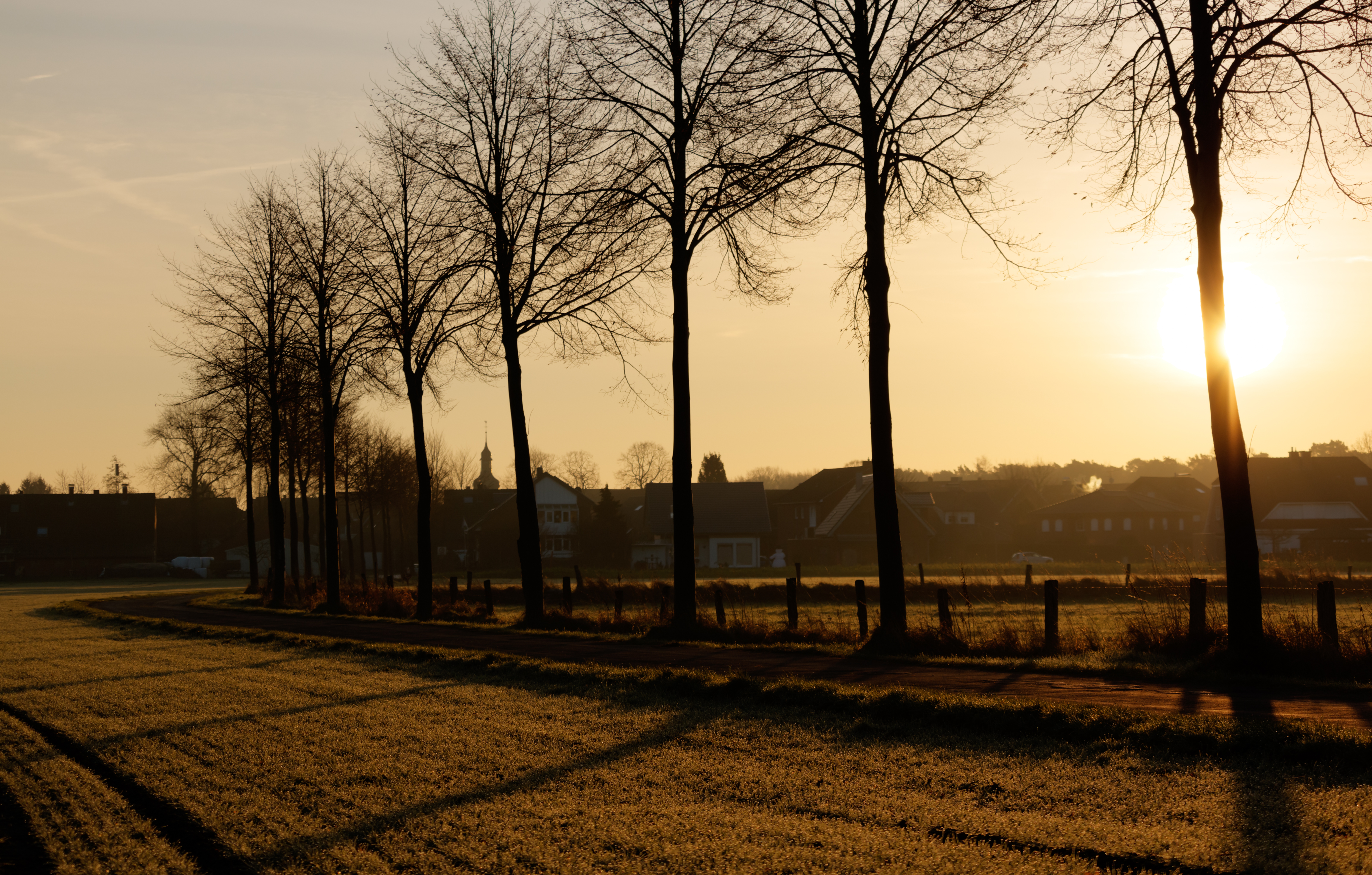 Dülmen, Hausdülmen, Wallgarten -- 2015 -- 0223-7
