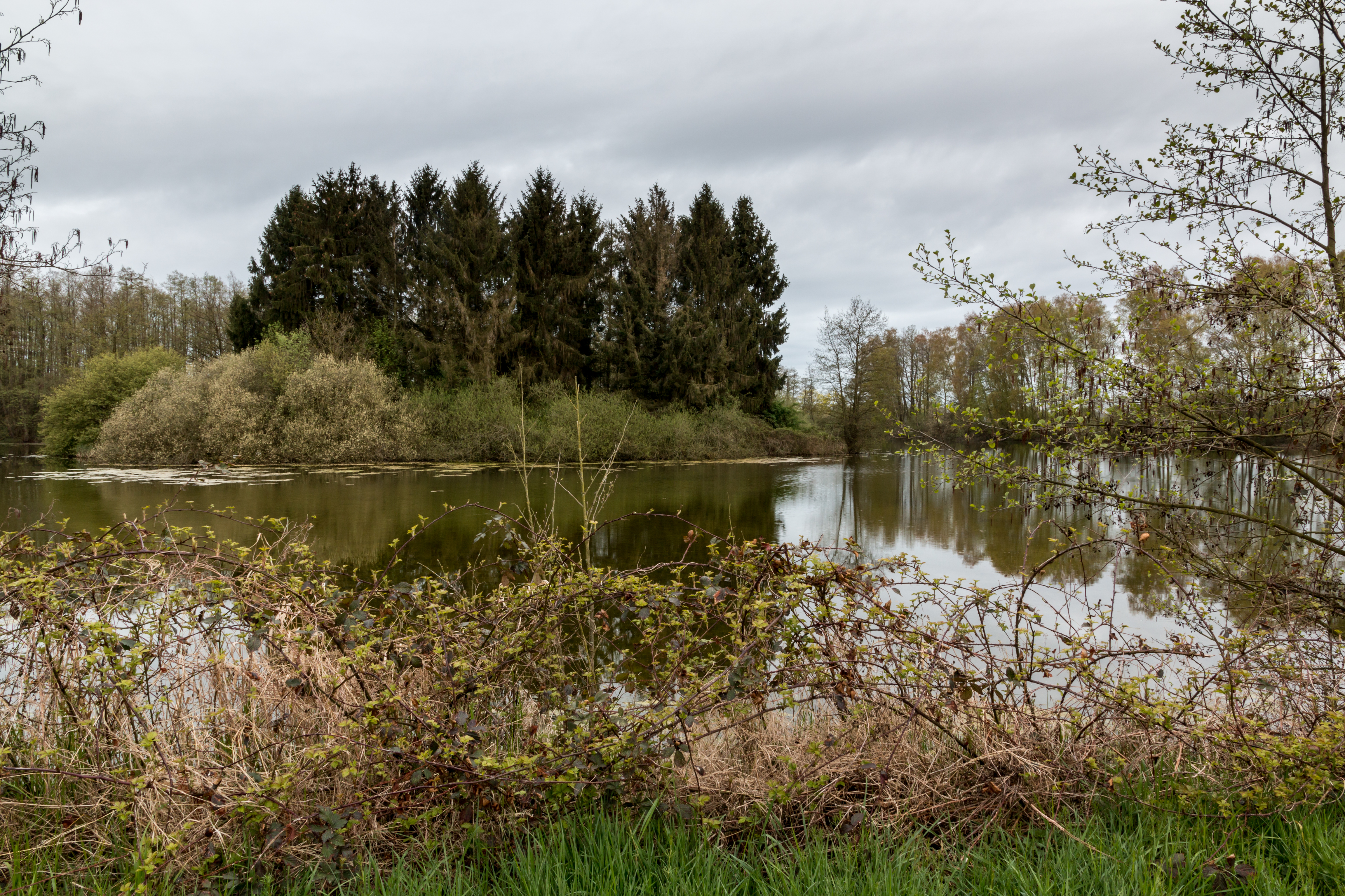 Dülmen, Kirchspiel, Fischteiche -- 2016 -- 1994