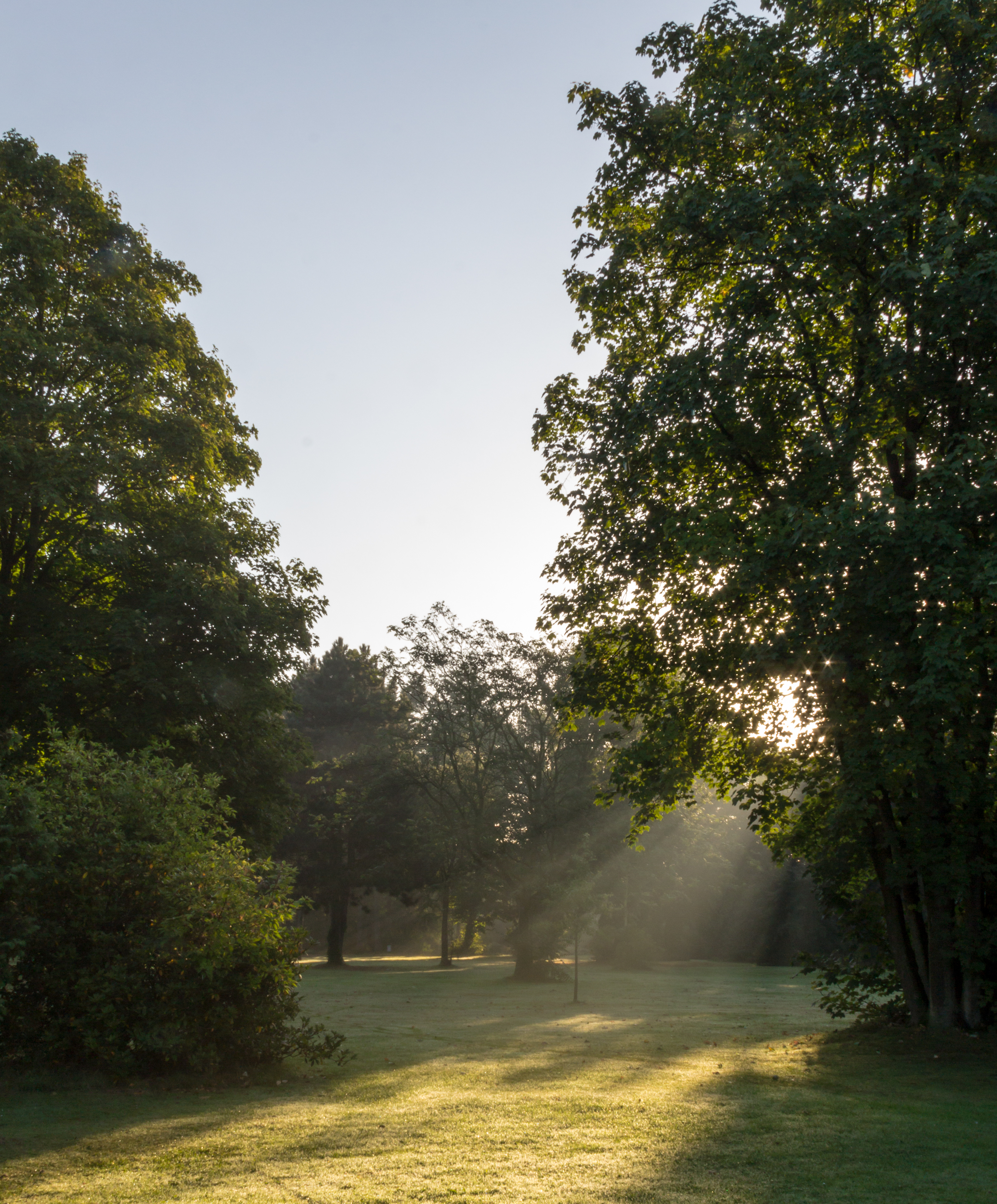 Dülmen, Mühlenwegfriedhof -- 2012 -- 8078