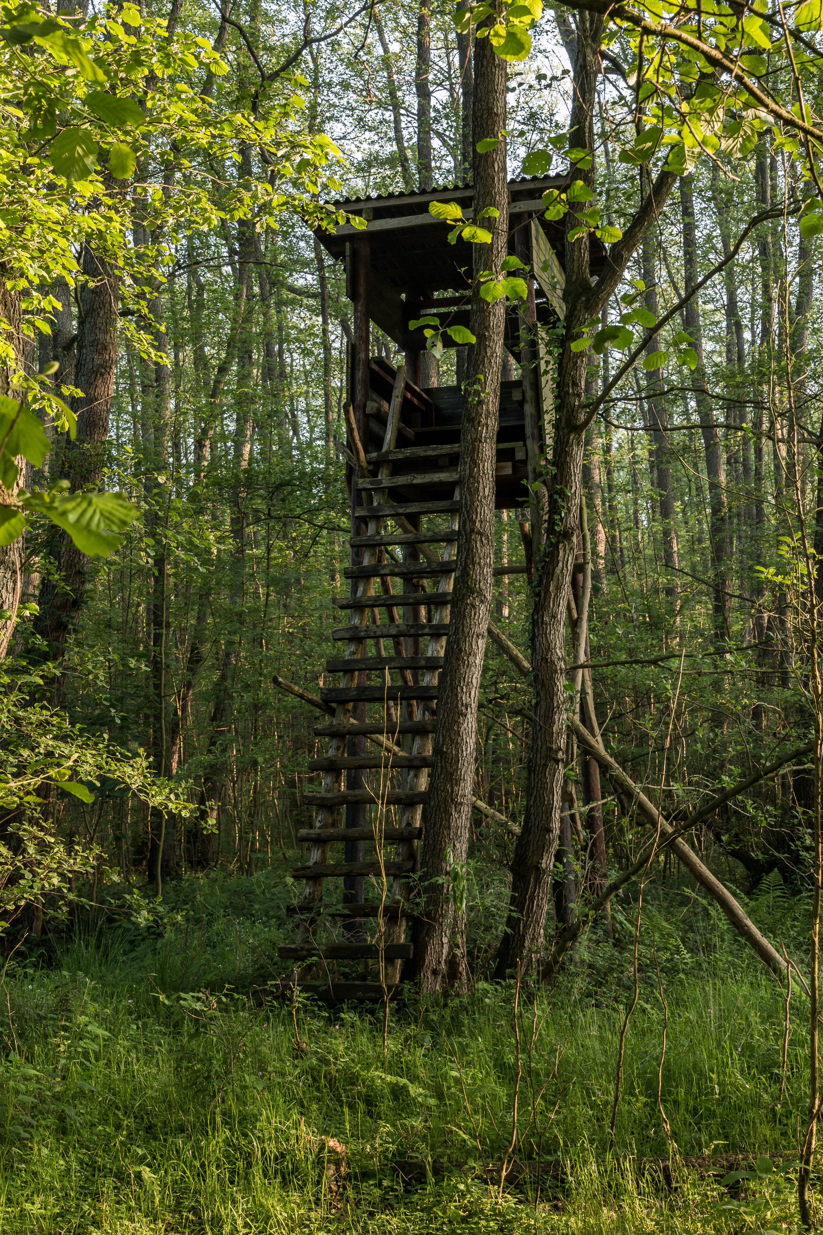 Dülmen, Naturschutzgebiet -Franzosenbach- -- 2014 -- 0180
