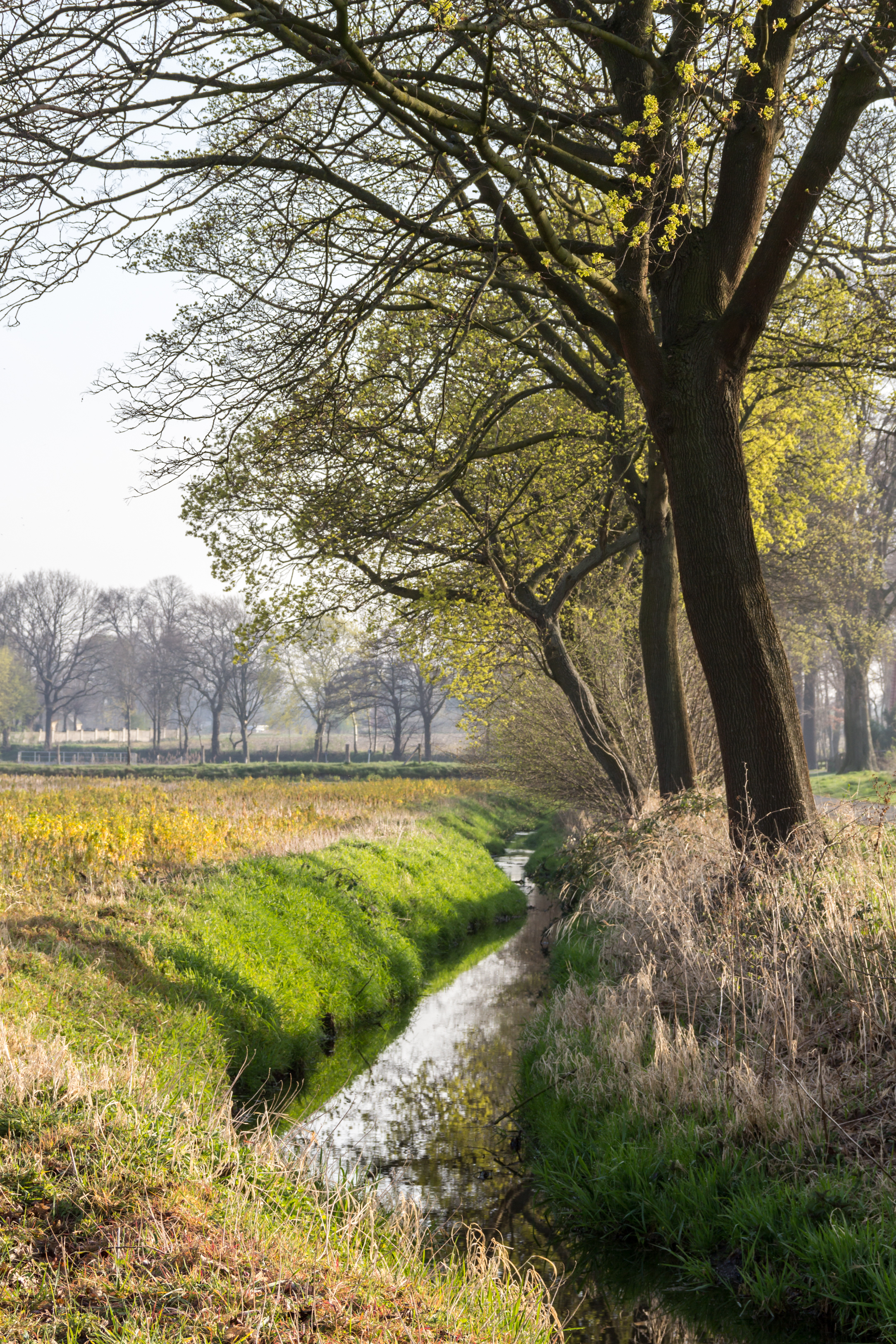 Dülmen, Umland -- 2014 -- 22