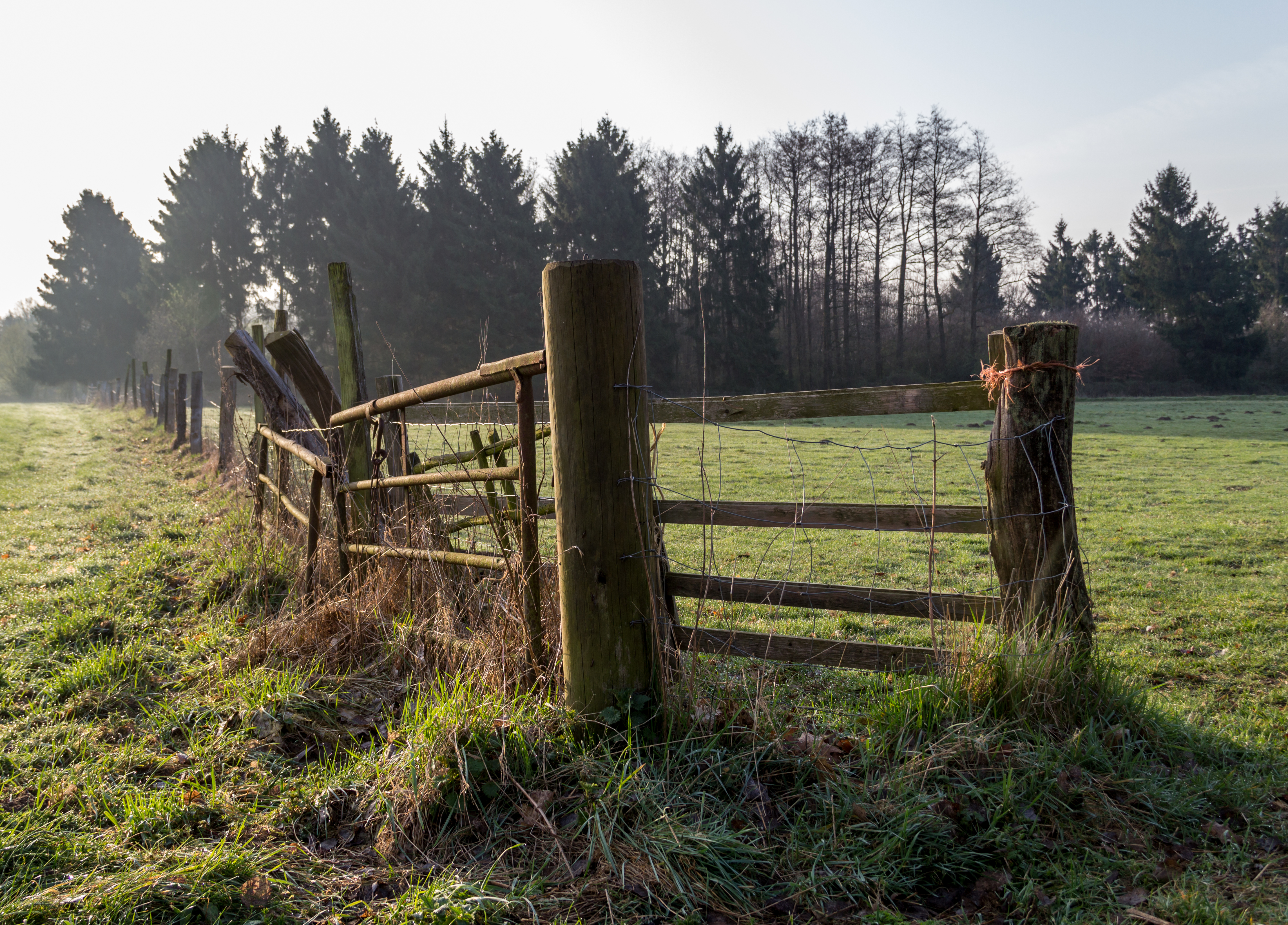 Dülmen, Umland -- 2014 -- 6991