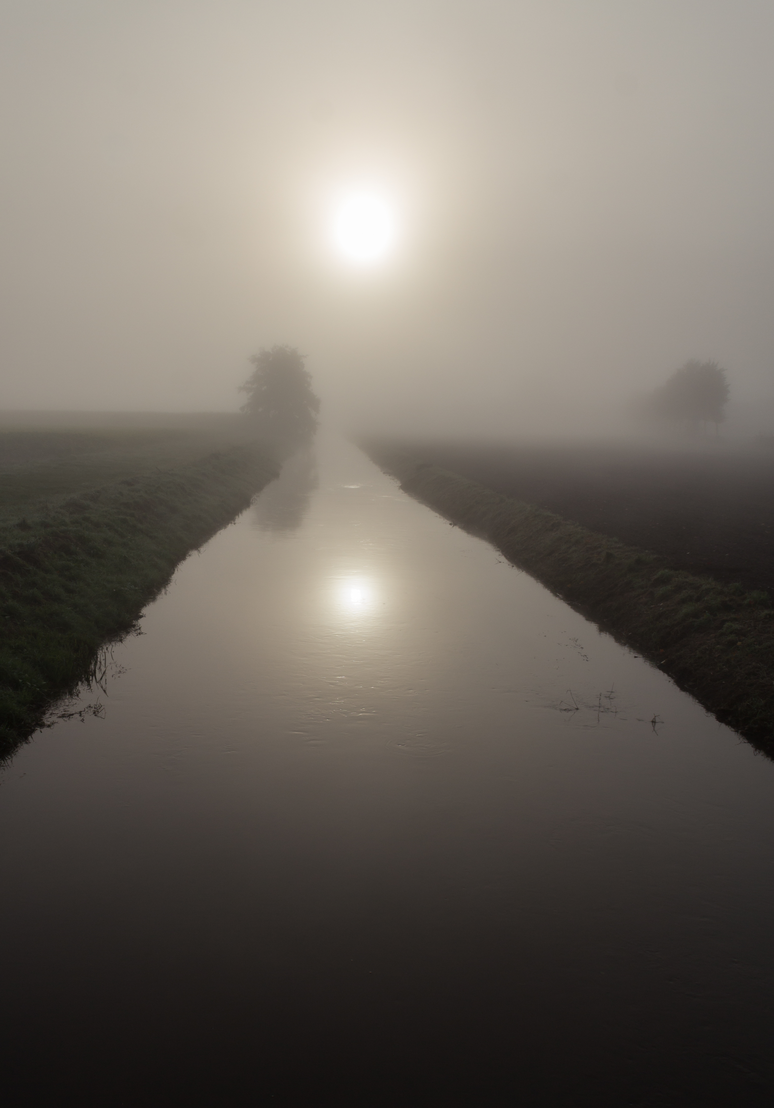 Dülmen, Umland, Sonnenaufgang -- 2012 -- 8766