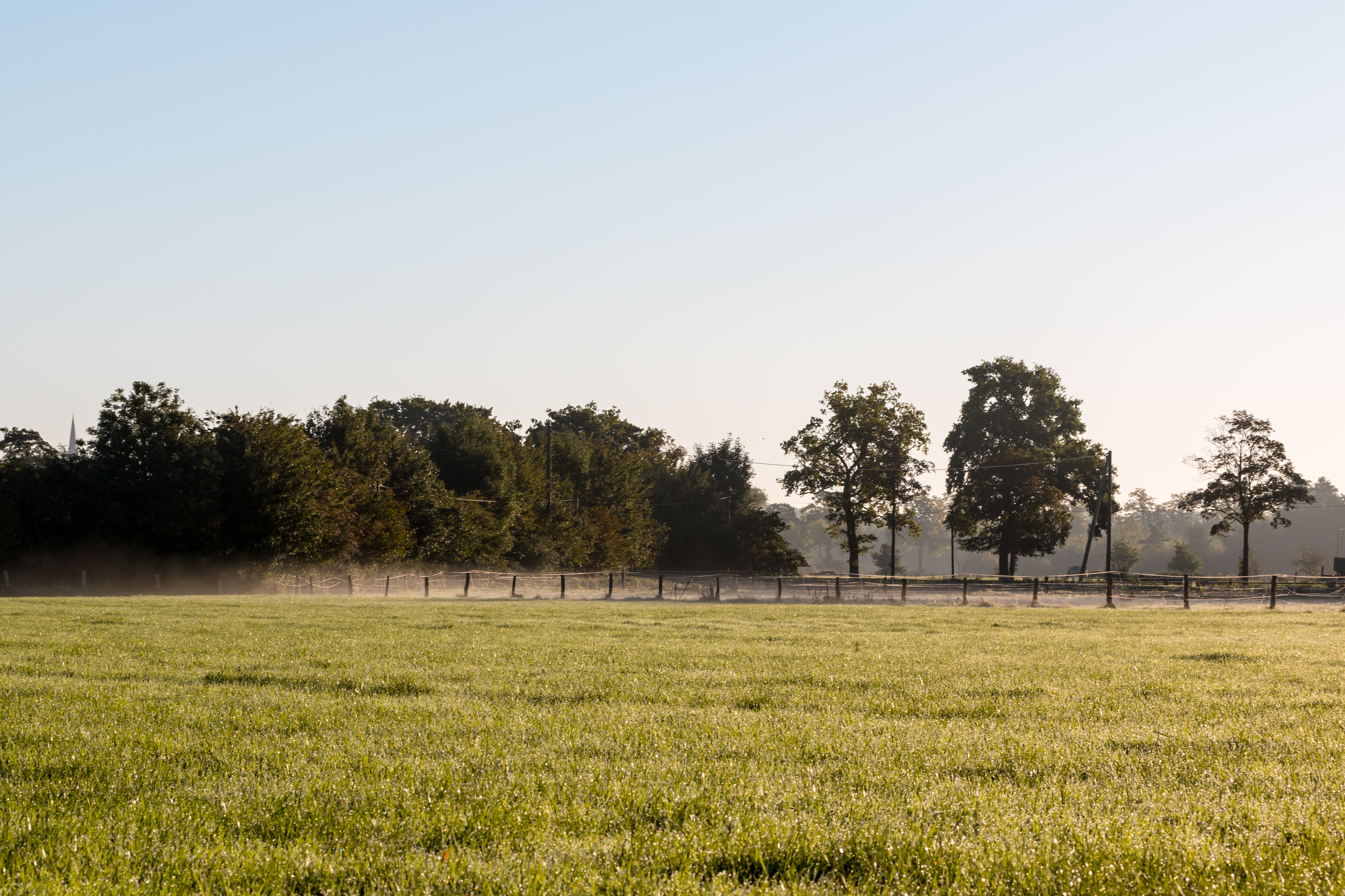 Dülmen, Wiese am Strandbadweg -- 2015 -- 8731