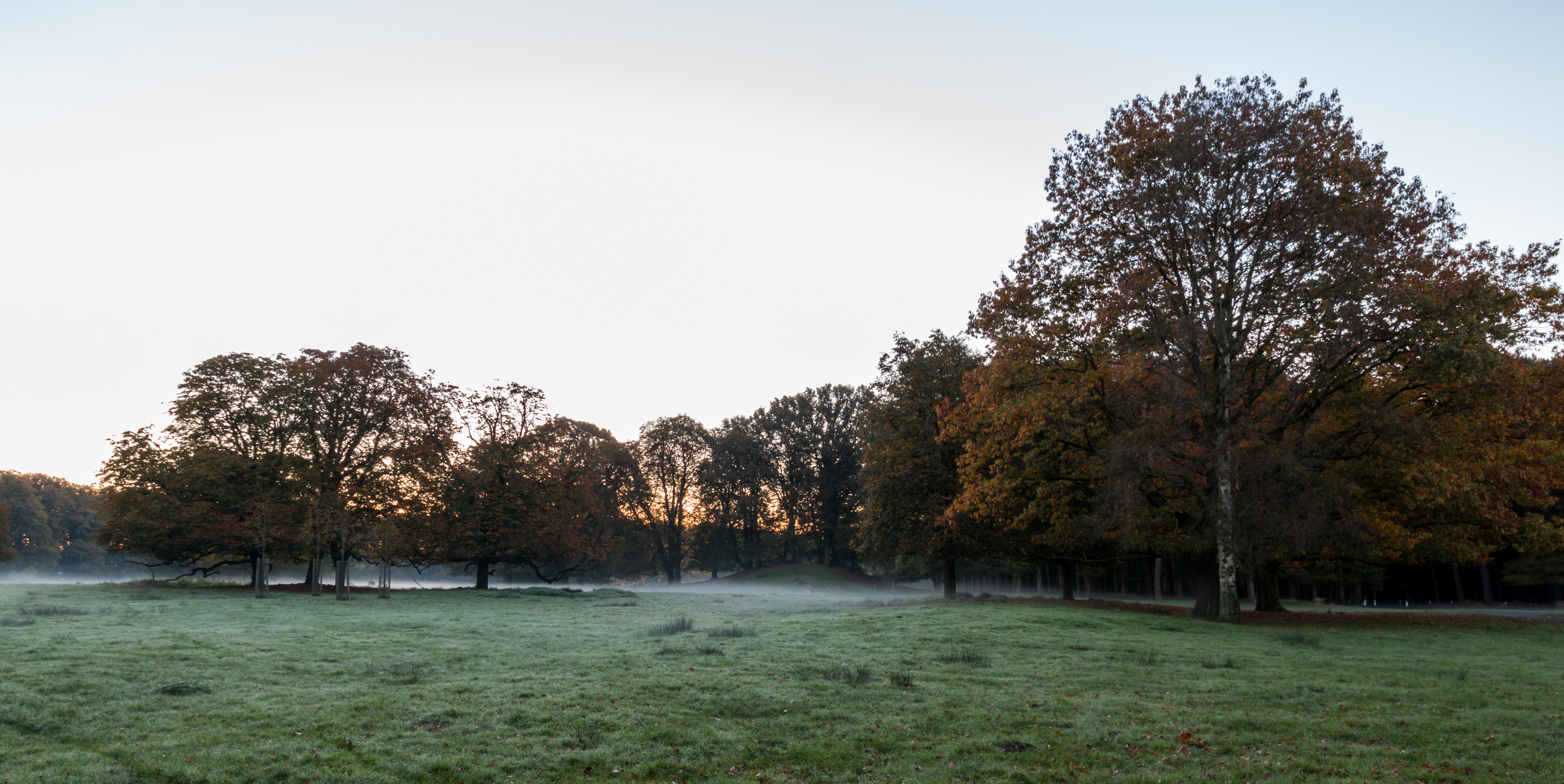 Dülmen, Wildpark -- 2014 -- 3823