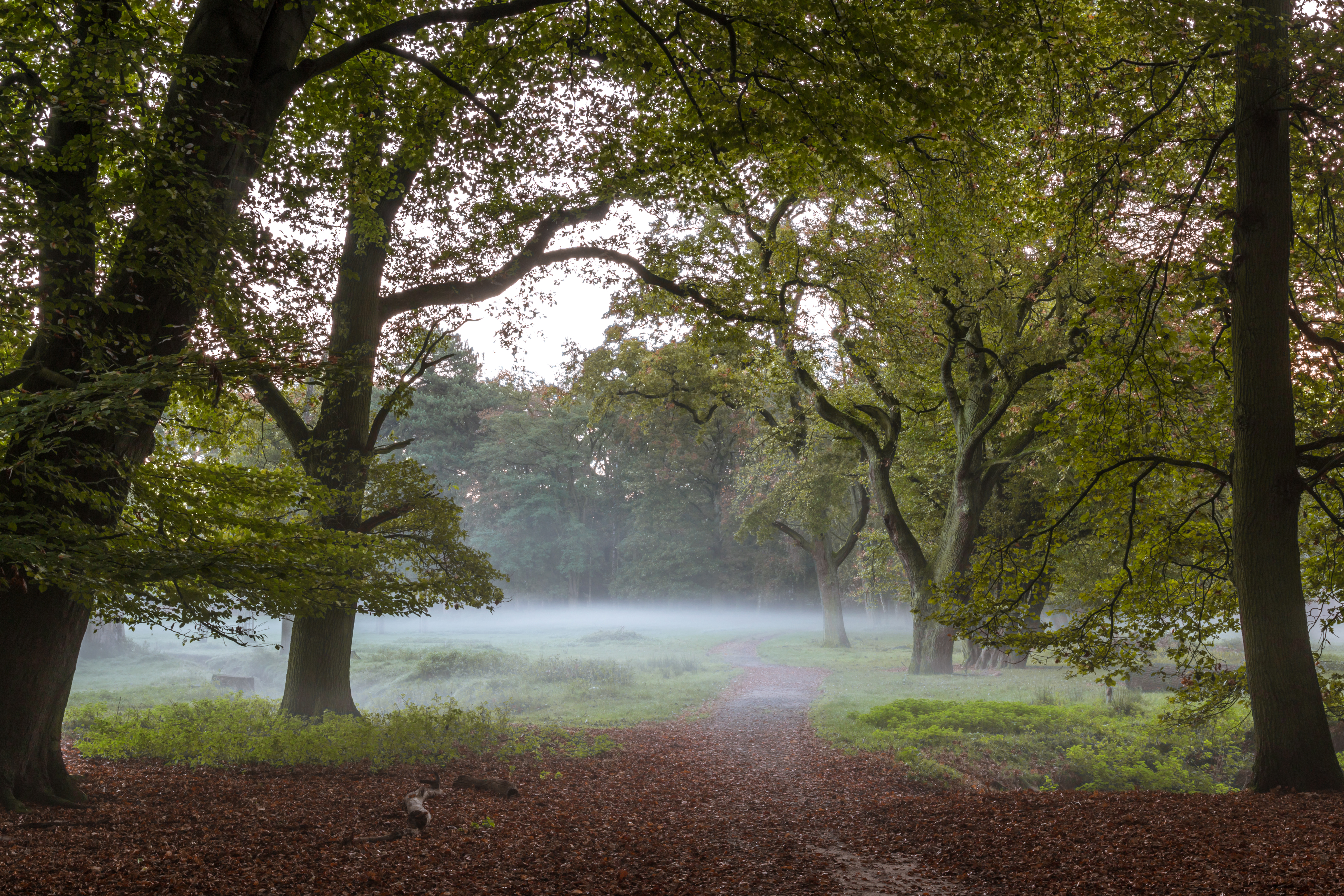 Dülmen, Wildpark -- 2014 -- 3830