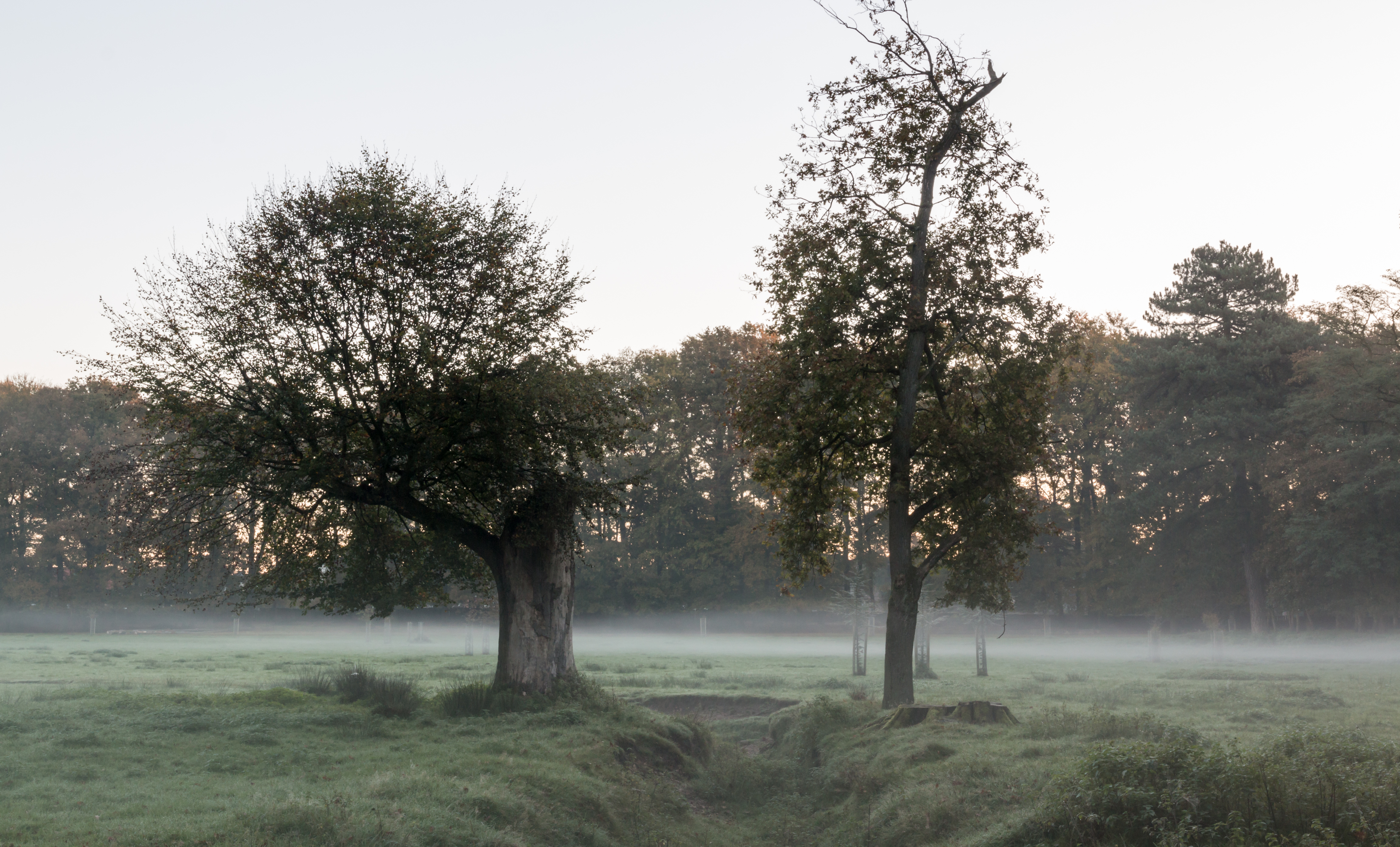 Dülmen, Wildpark -- 2014 -- 3831