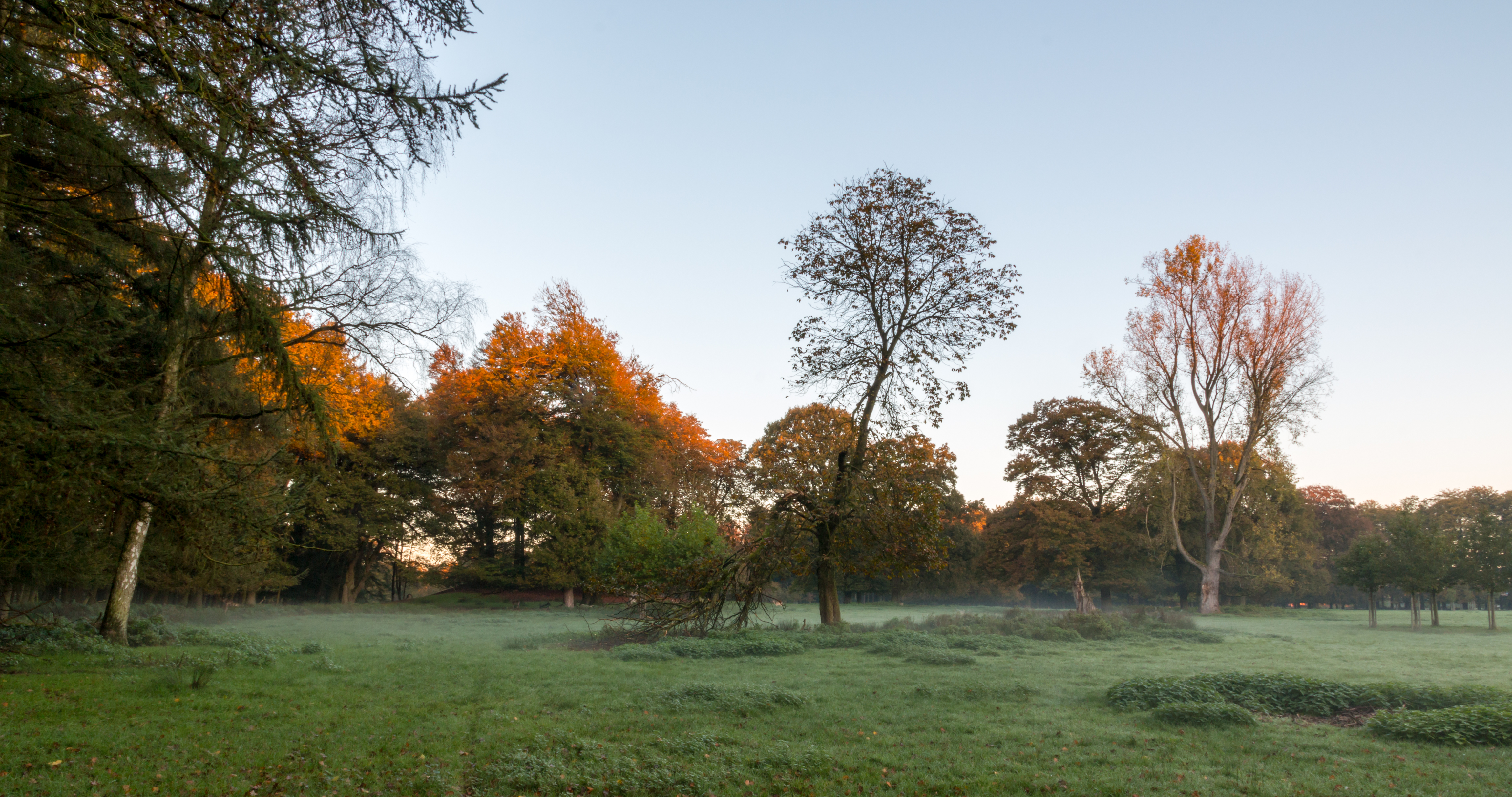 Dülmen, Wildpark -- 2014 -- 3835