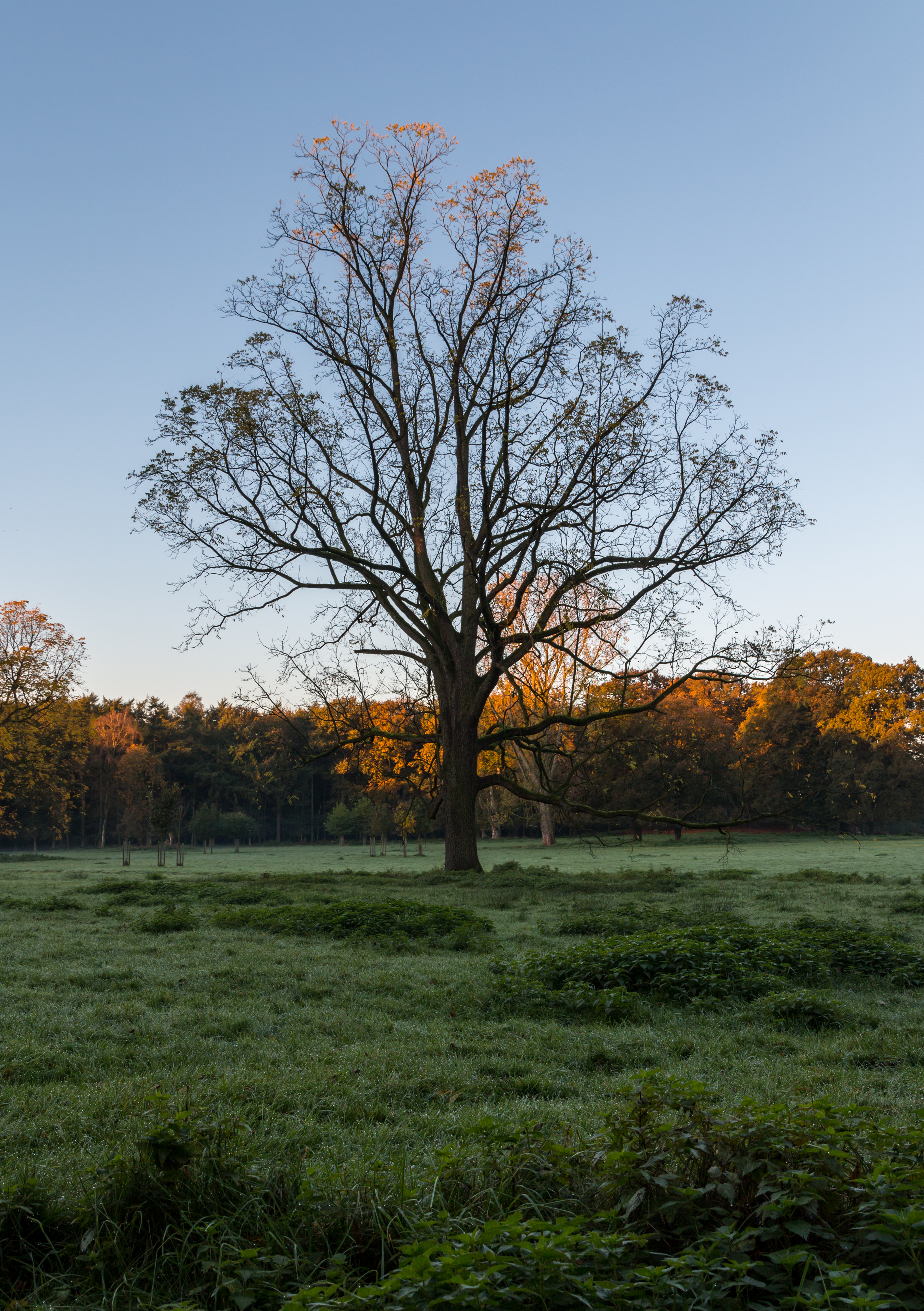 Dülmen, Wildpark -- 2014 -- 3849